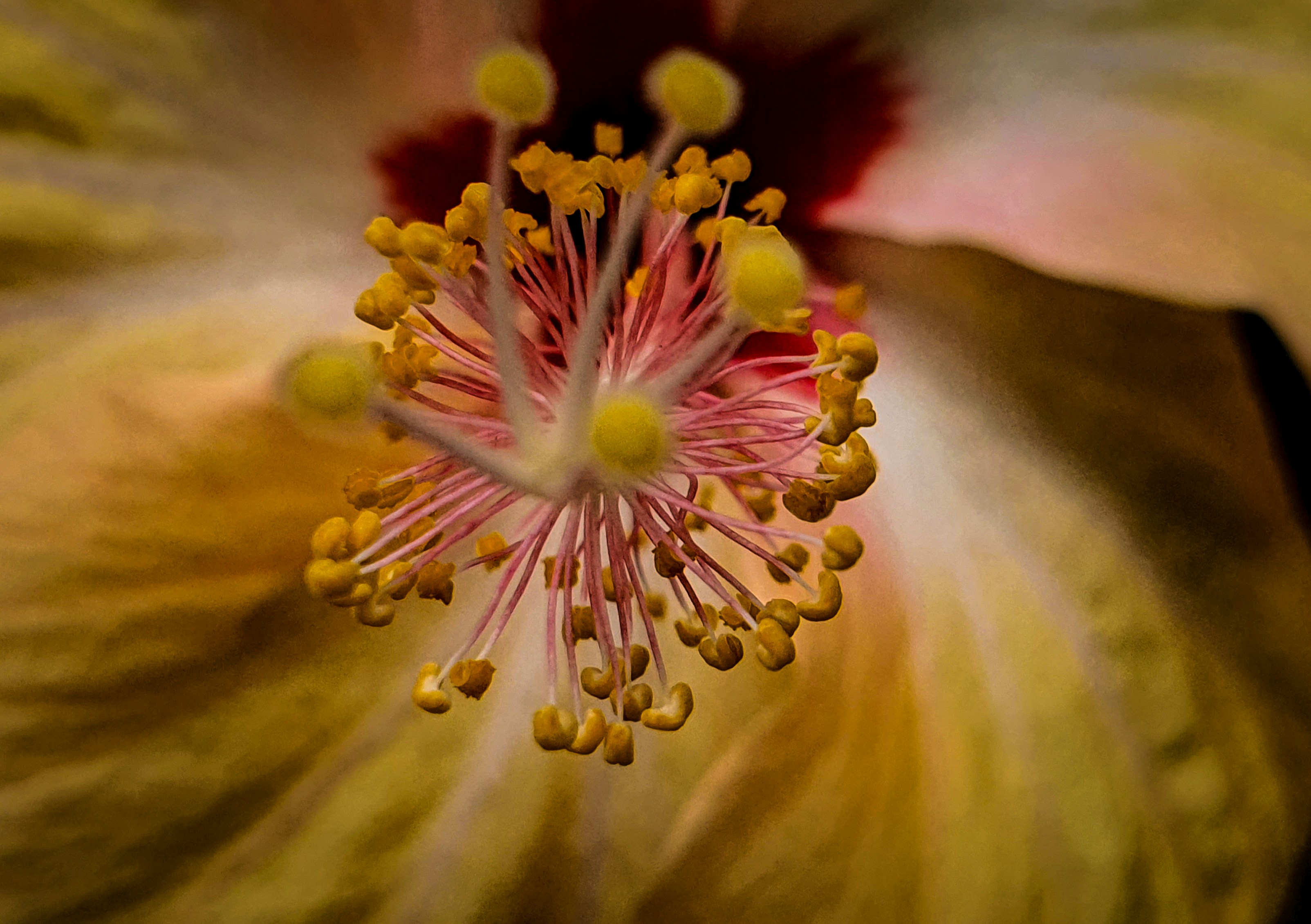 Photo by shutter_eye08