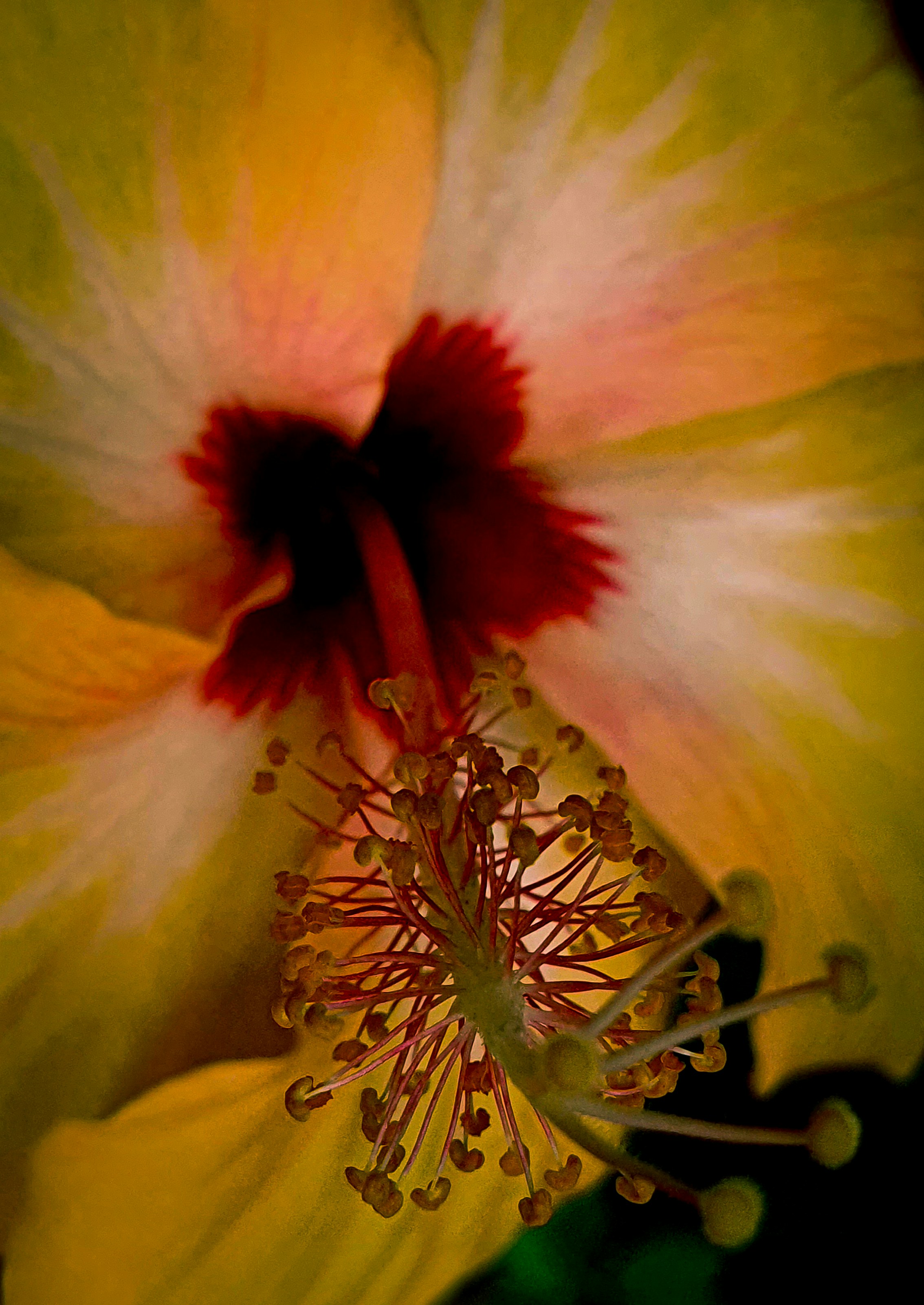 Photo by shutter_eye08