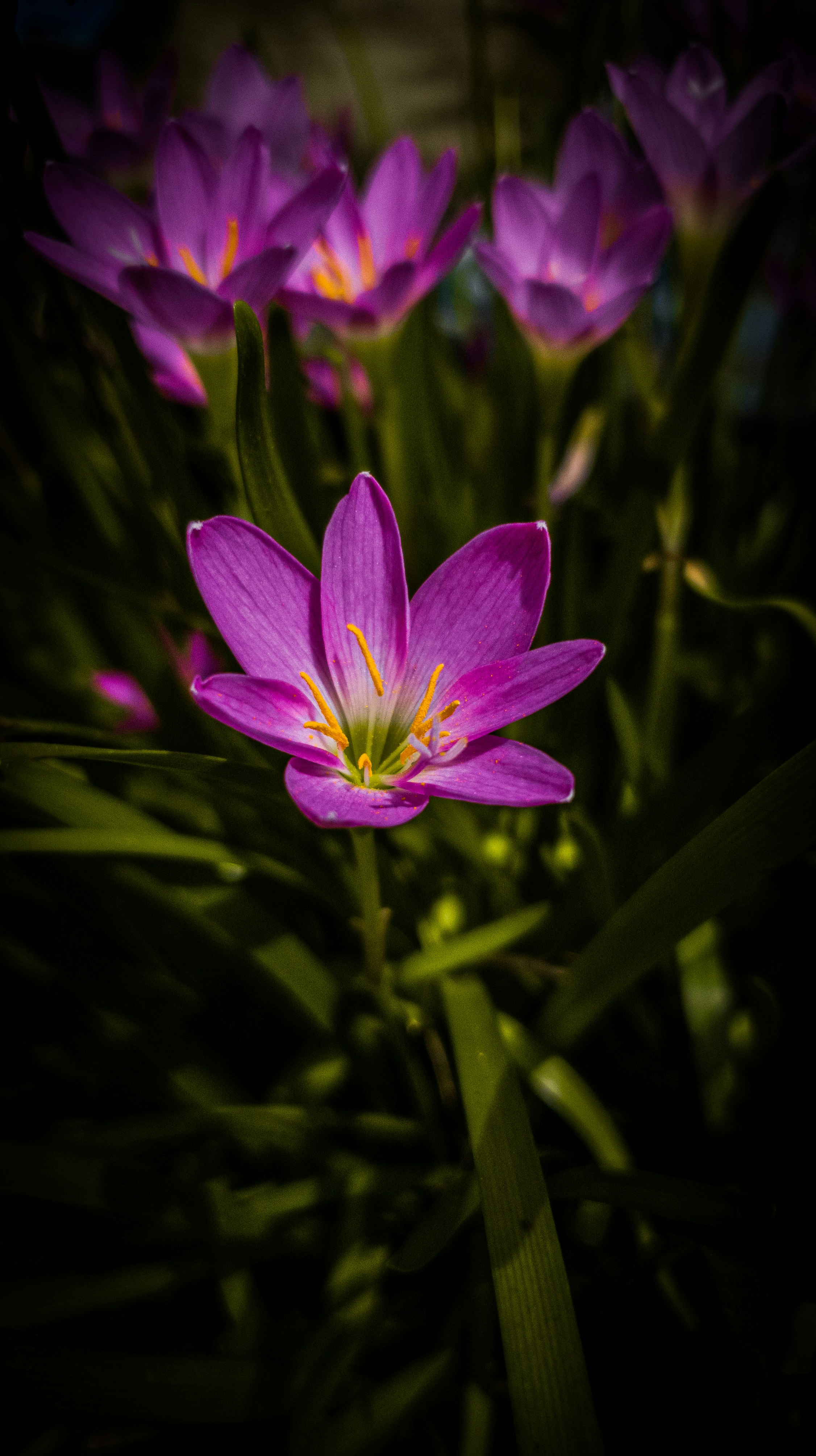 Photo by shutter_eye08