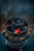 a pot with a plant inside