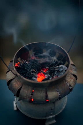 a pot with a plant inside