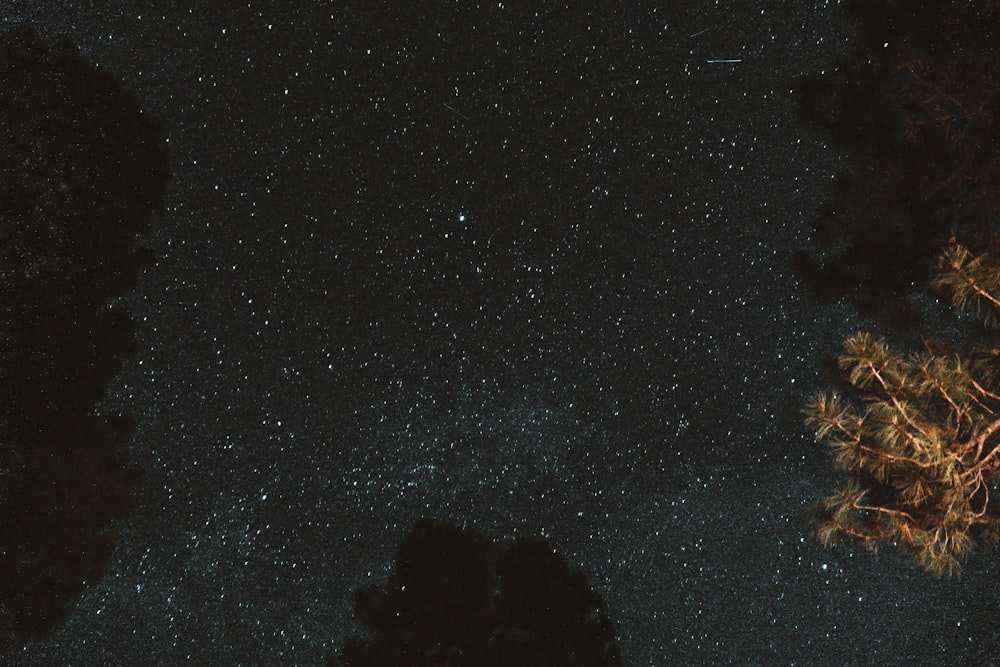 a view of the night sky with stars and a mountain range