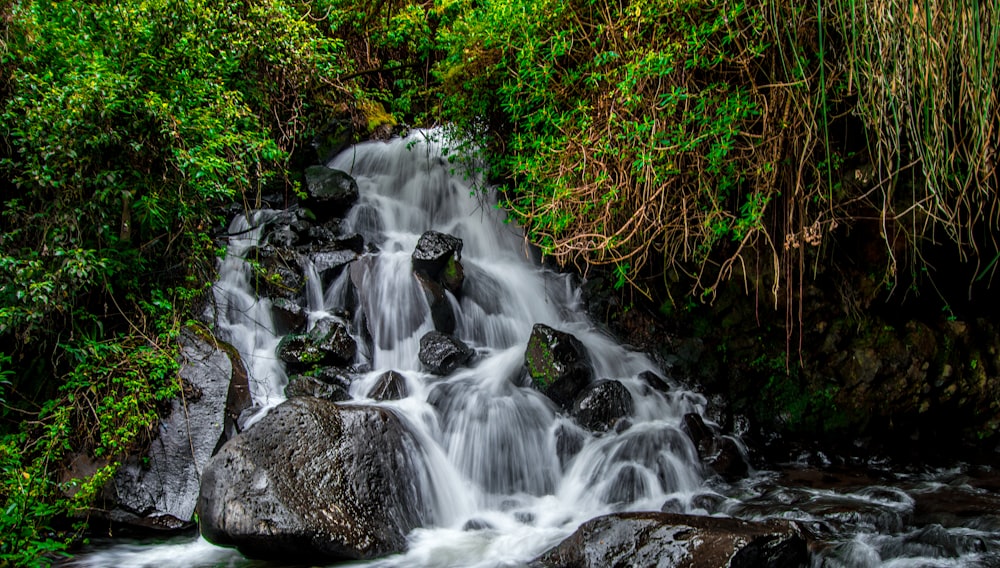 a waterfall in a forest