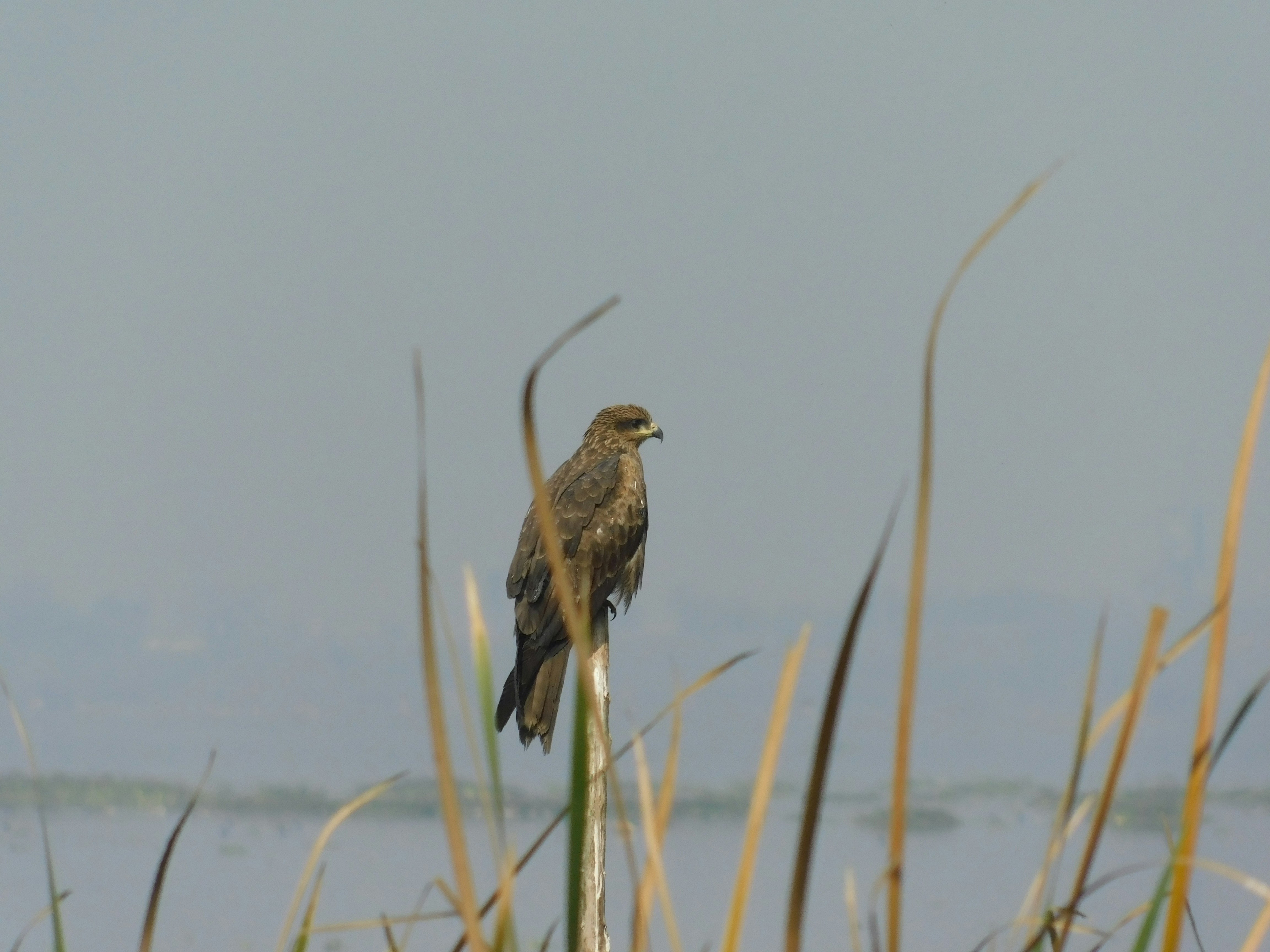 Photo by squareframe