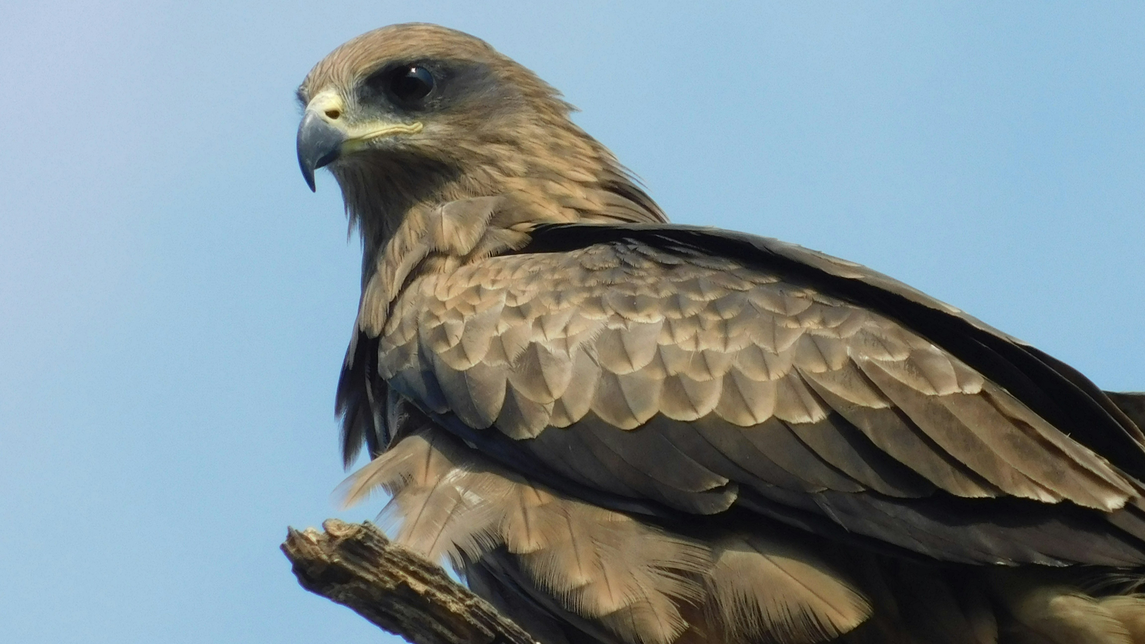 Photo by squareframe