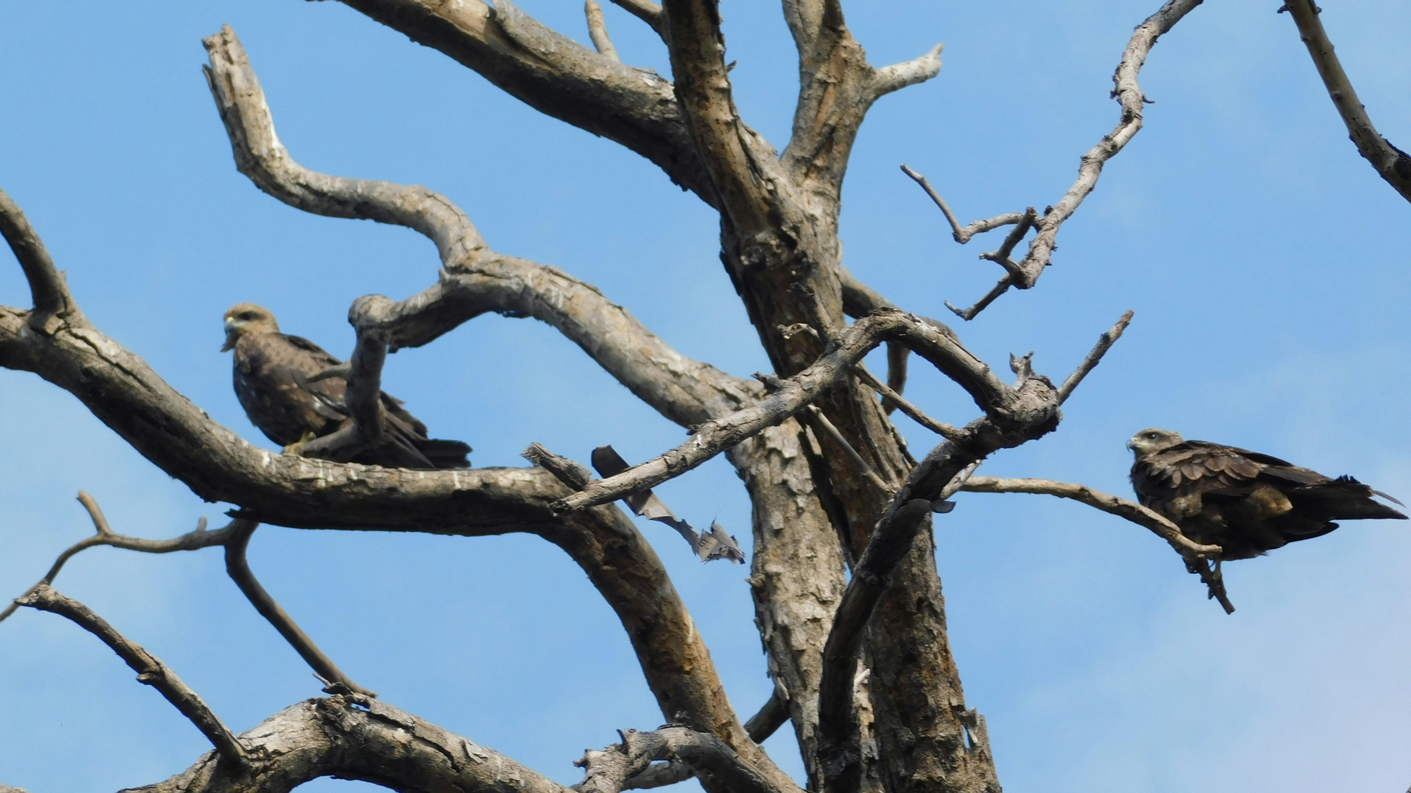 Photo by squareframe