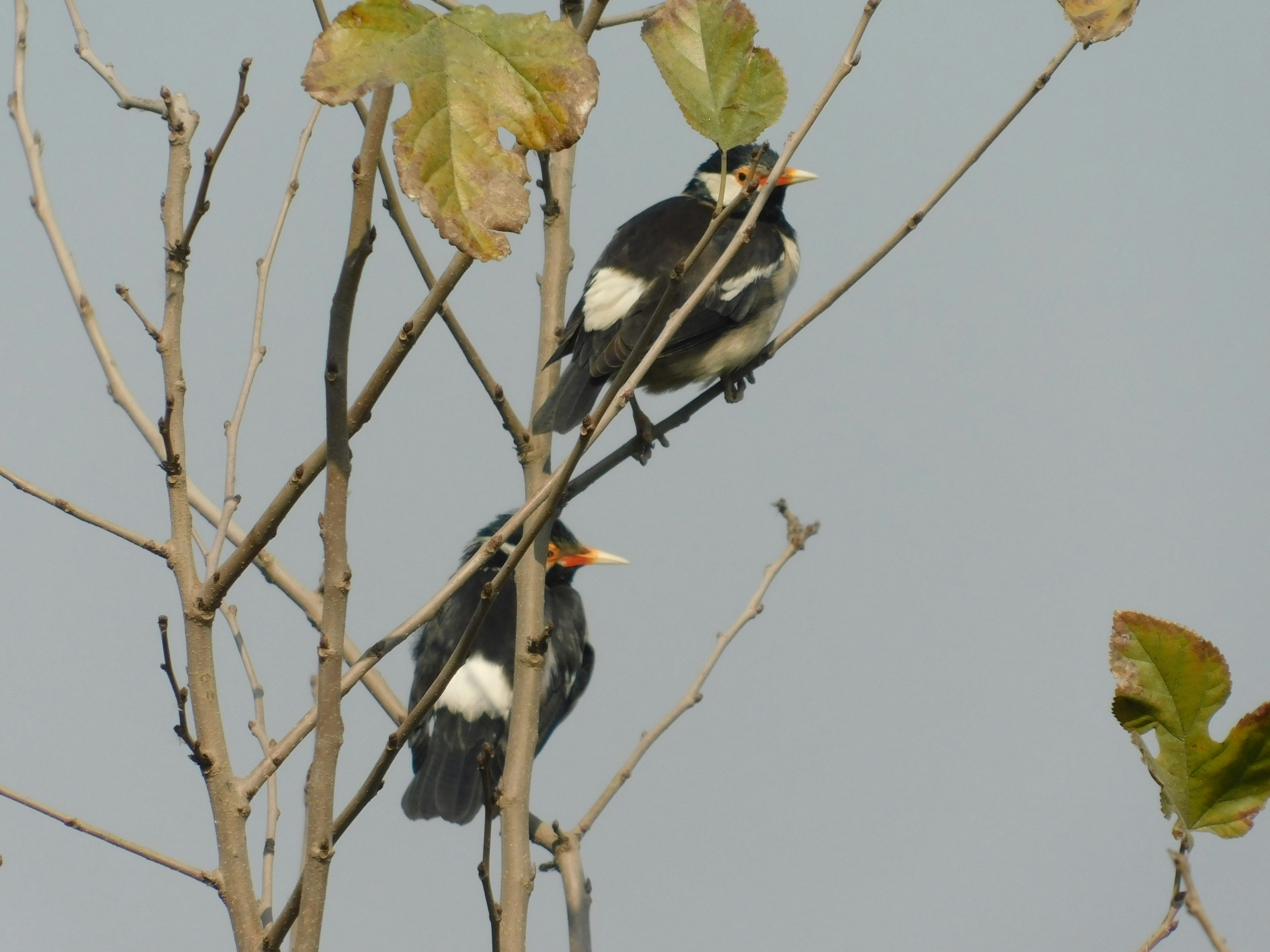 Photo by squareframe