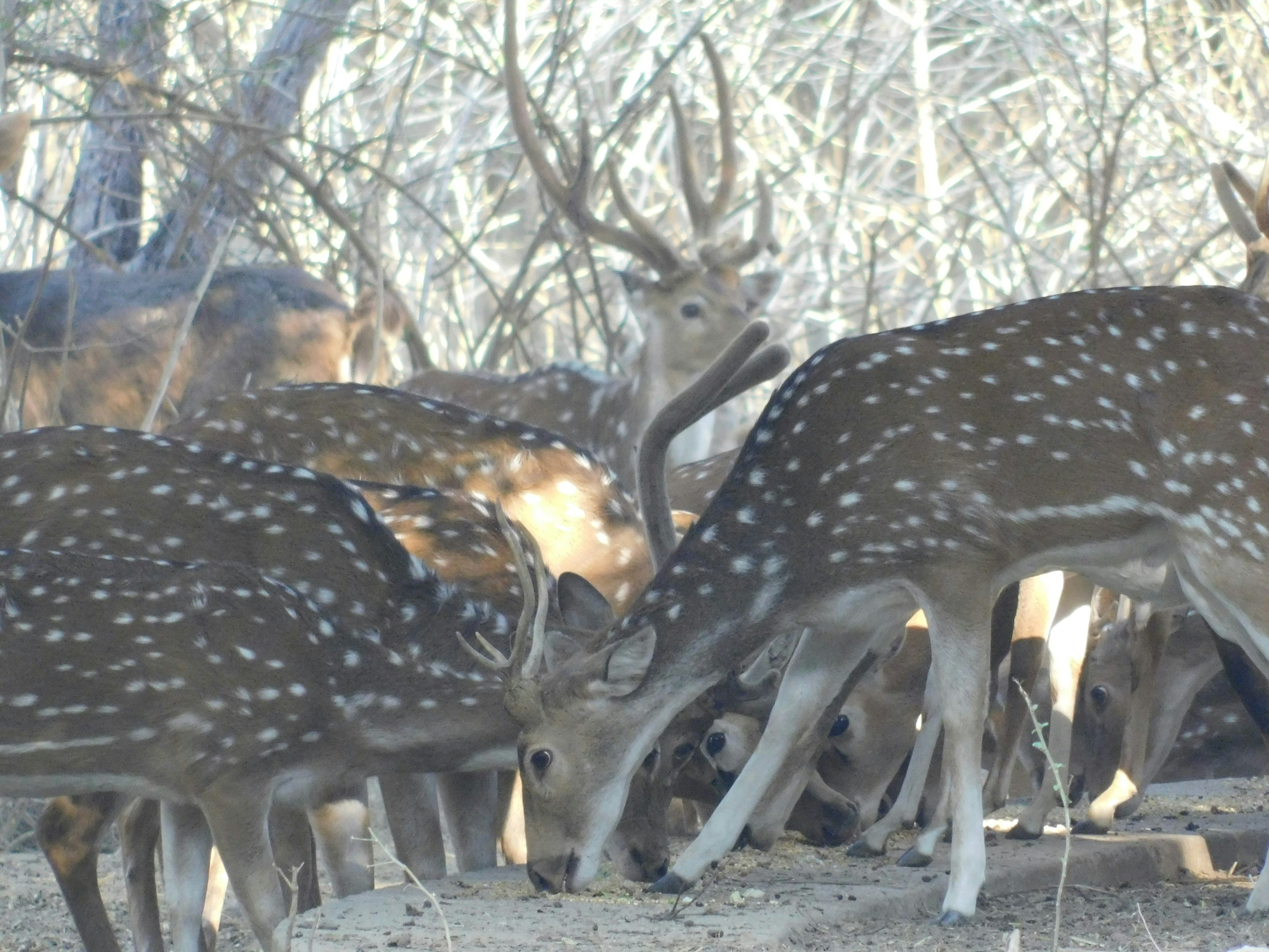 Photo by squareframe