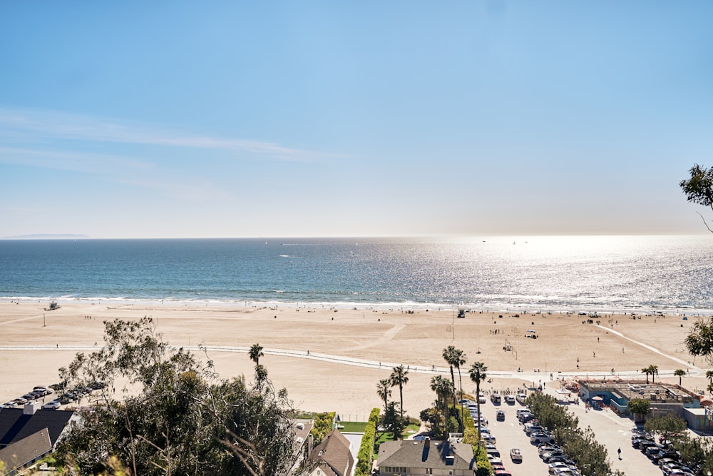 a beach with palm trees and water