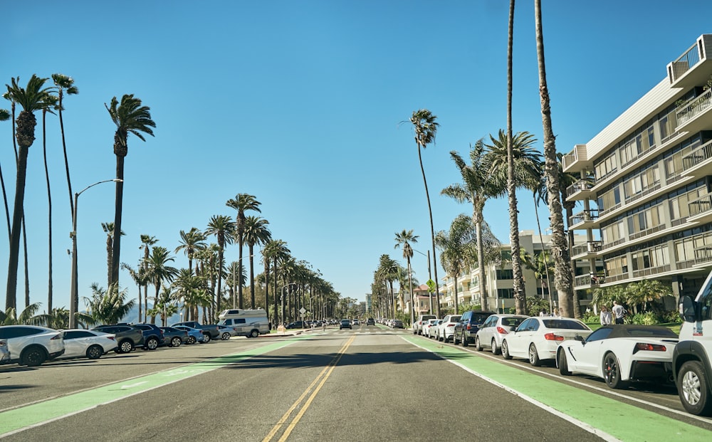 a parking lot with palm trees and buildings