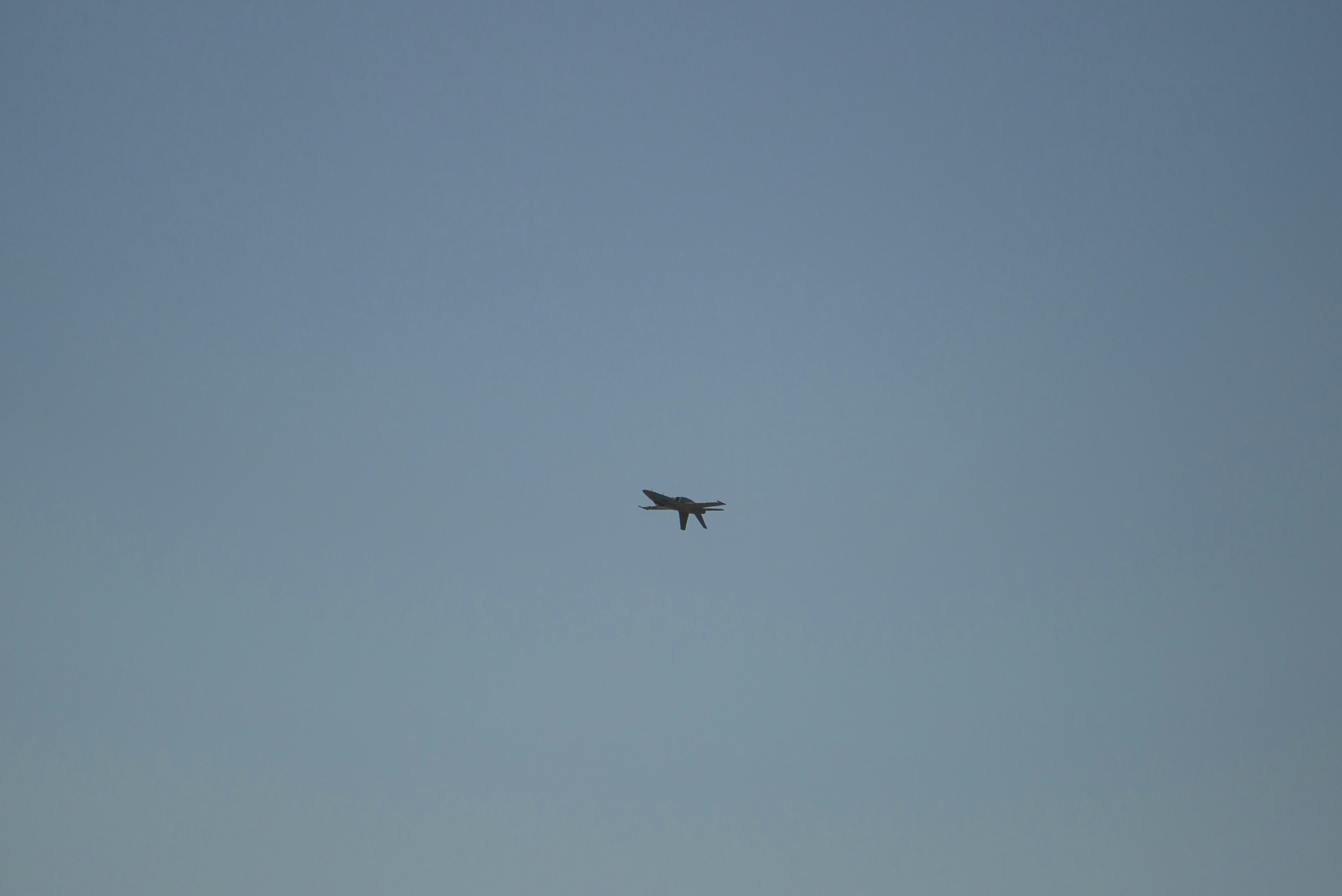 Photo by leo_visions_