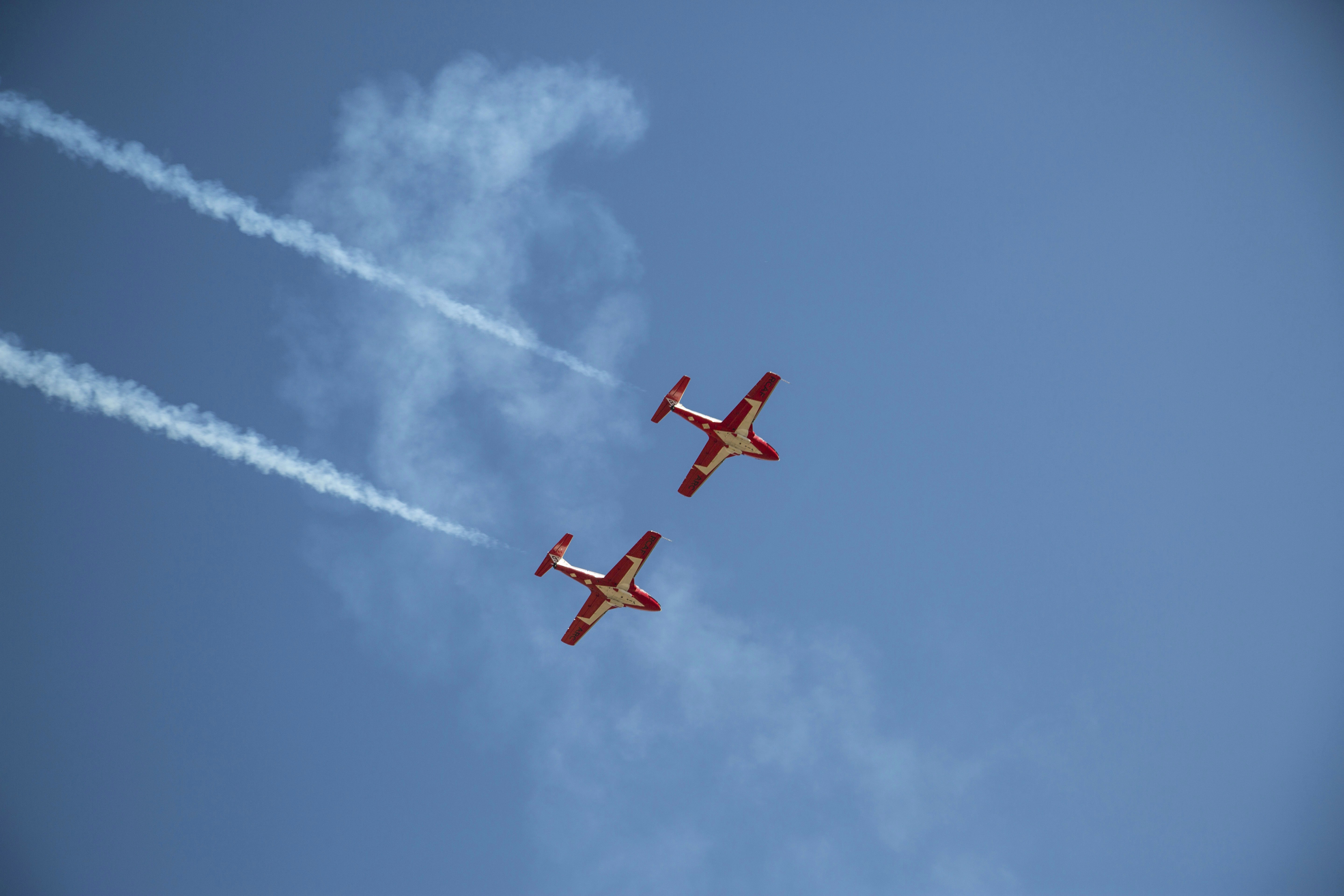 Photo by leo_visions_