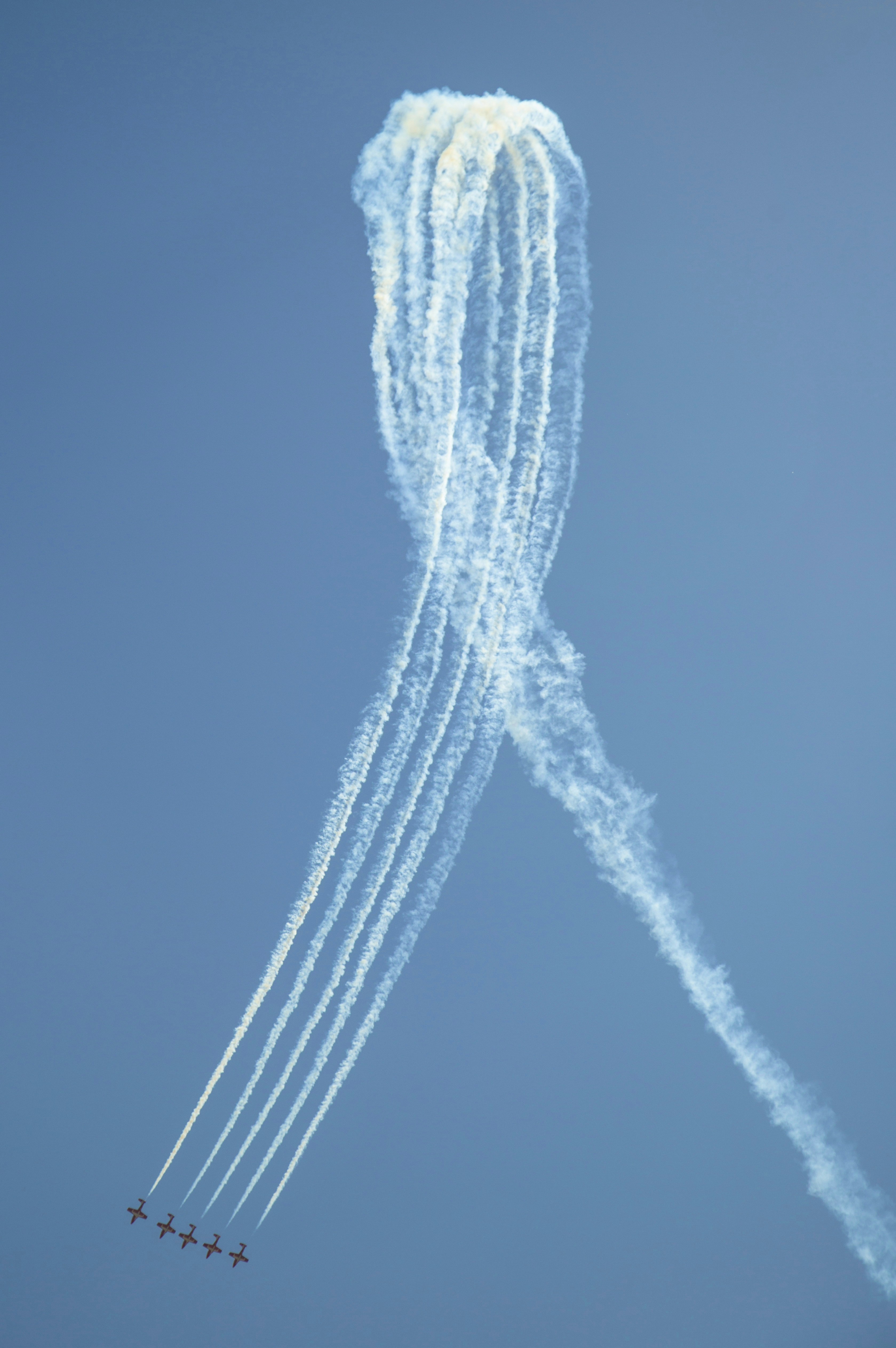 Photo by leo_visions_