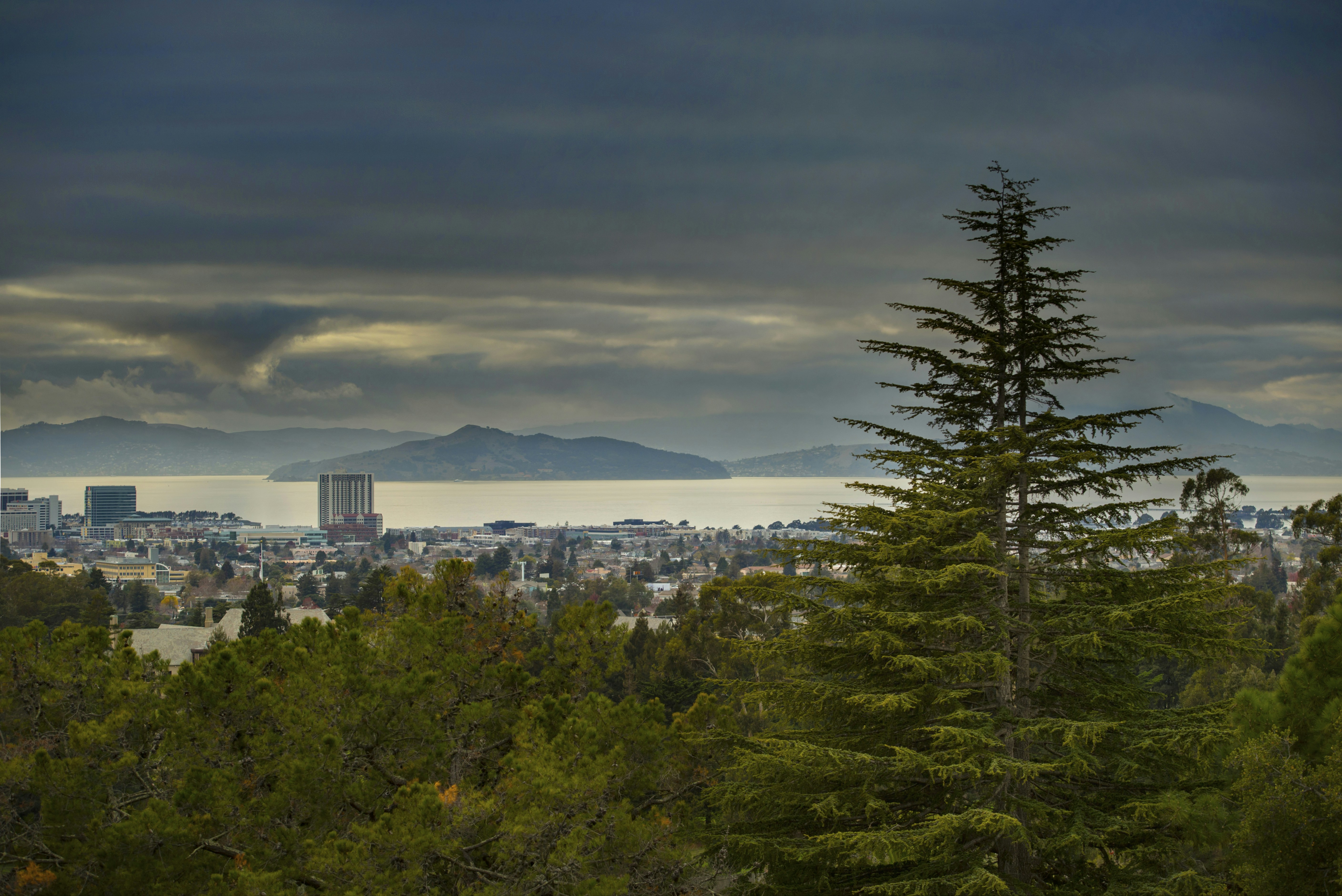 Photo by leo_visions_