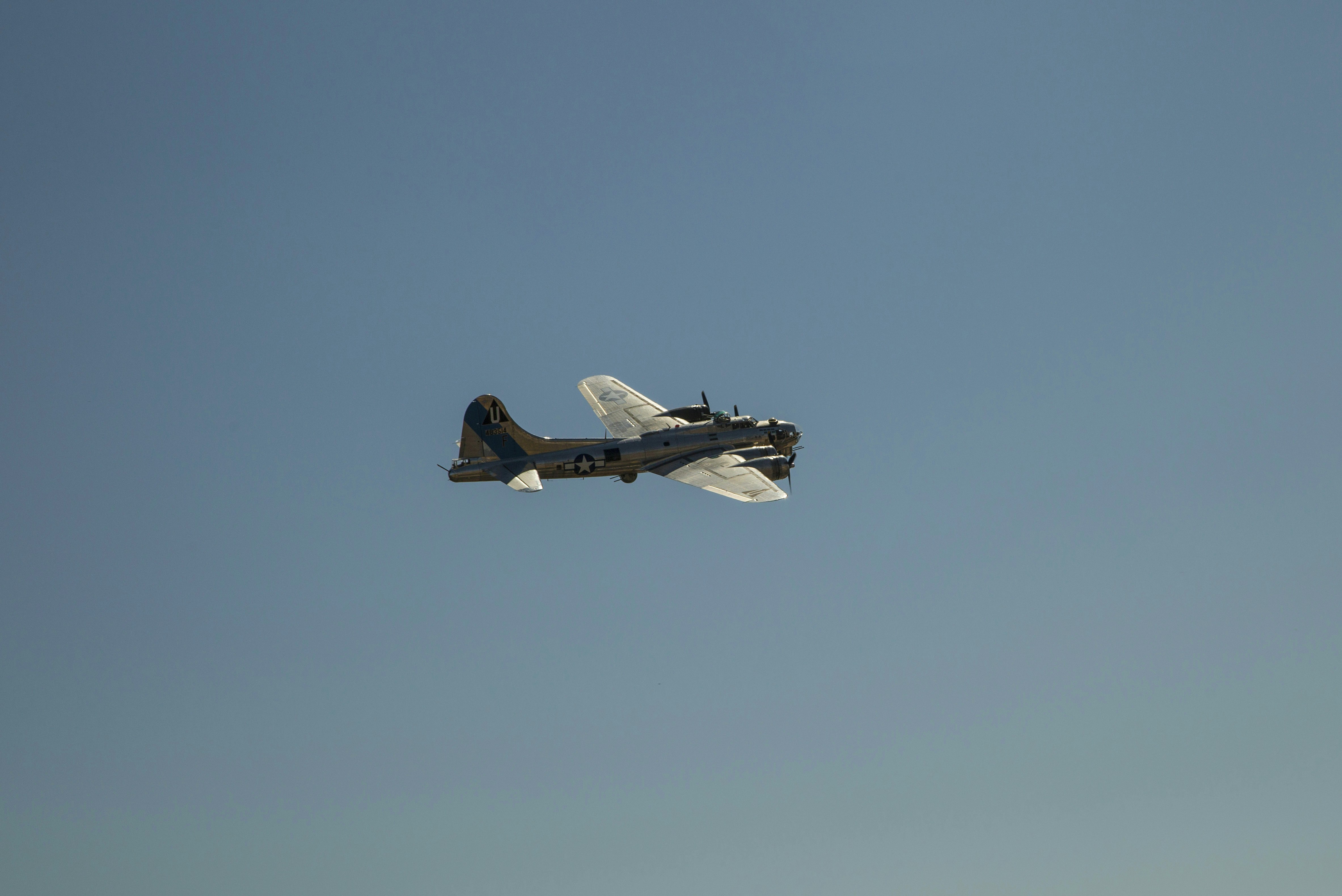 Photo by leo_visions_