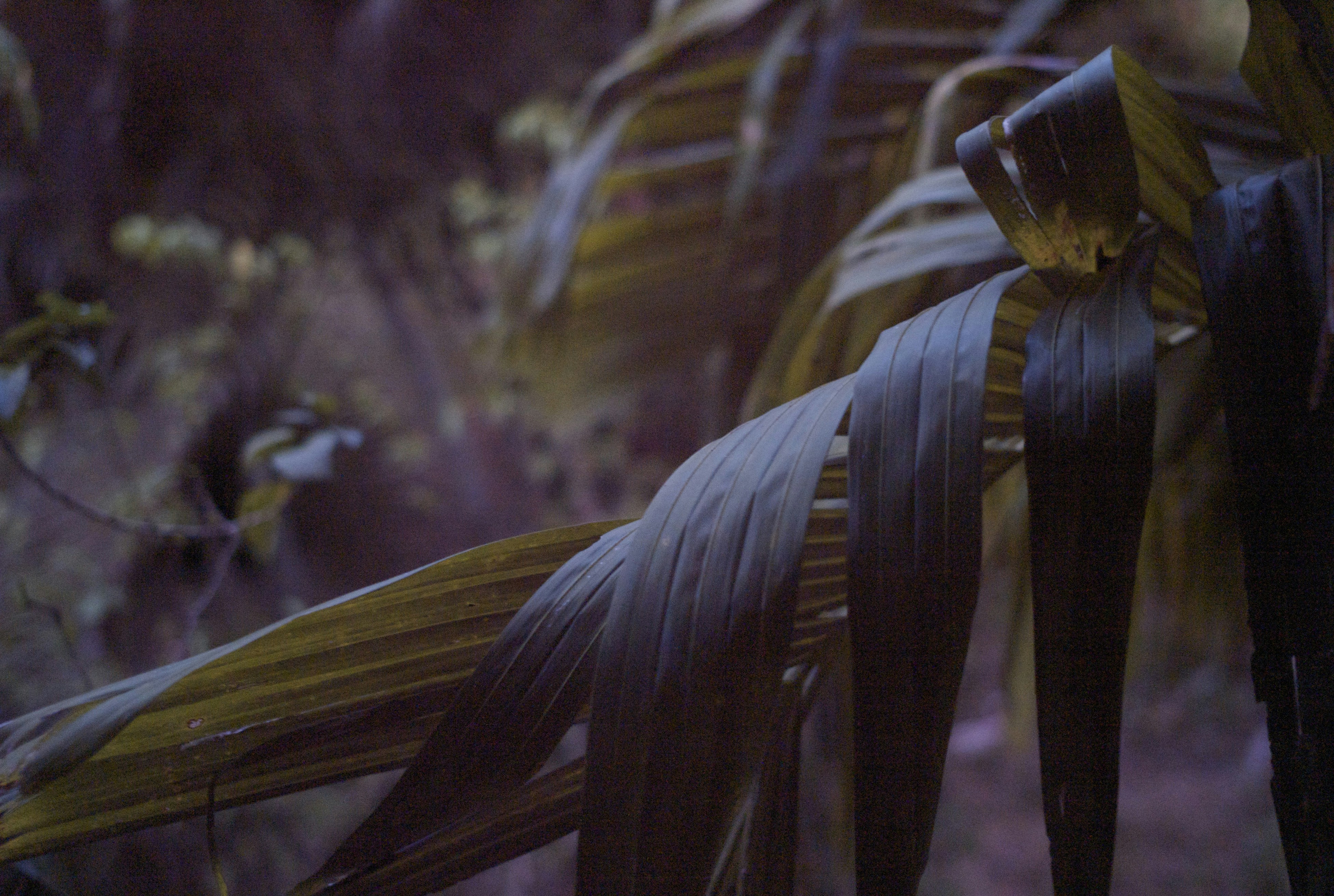 Photo by alexeydemidov