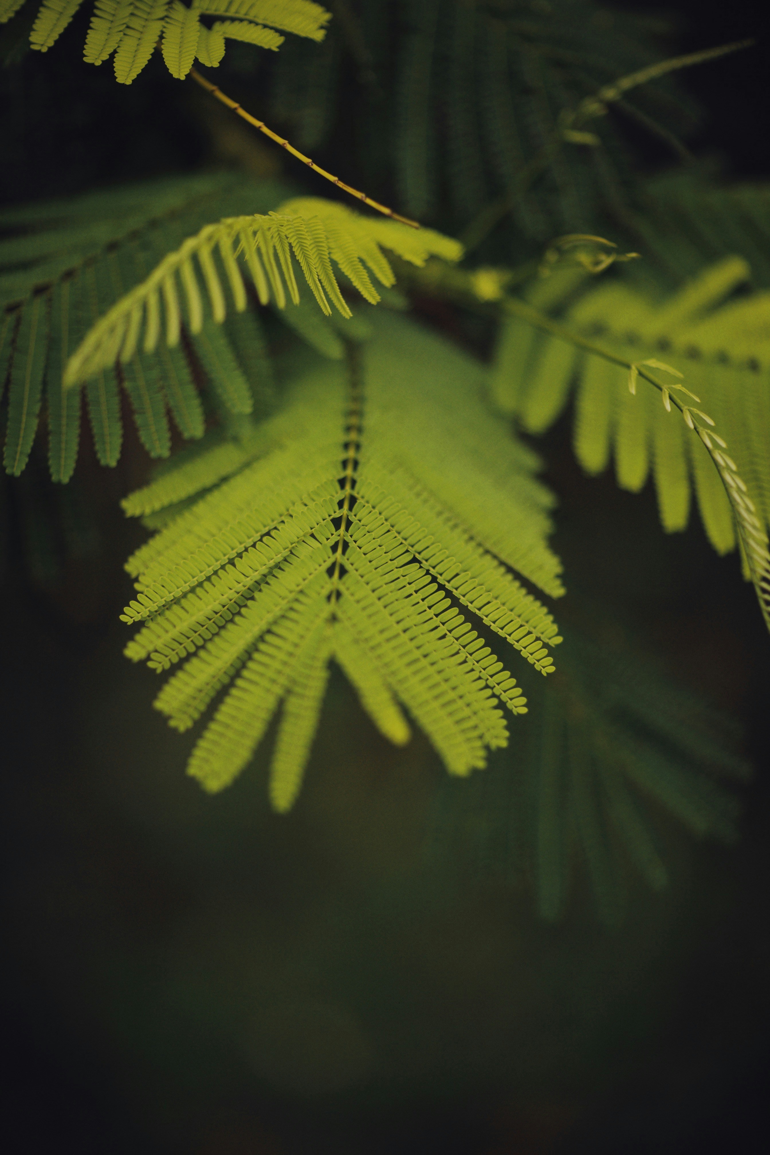 Photo by alexeydemidov