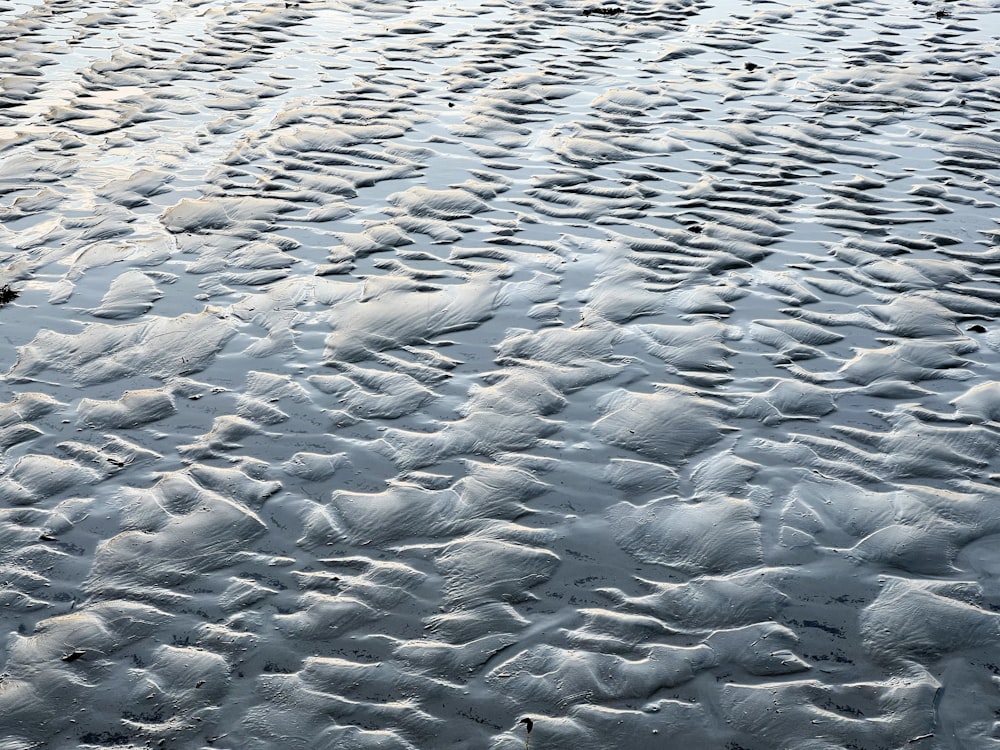 a body of water with ice