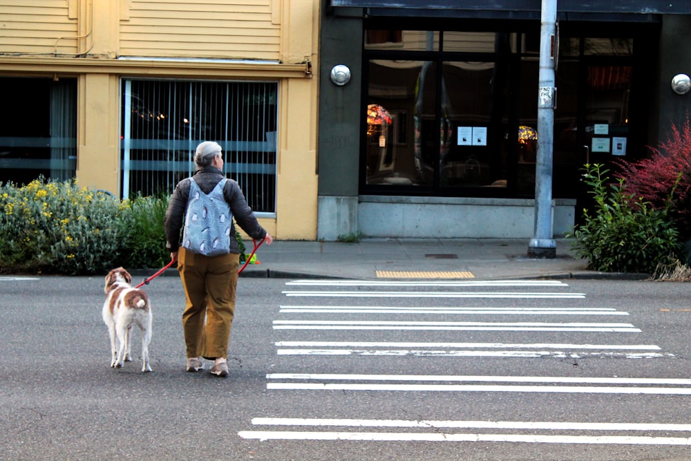 a person walking a dog on a leash