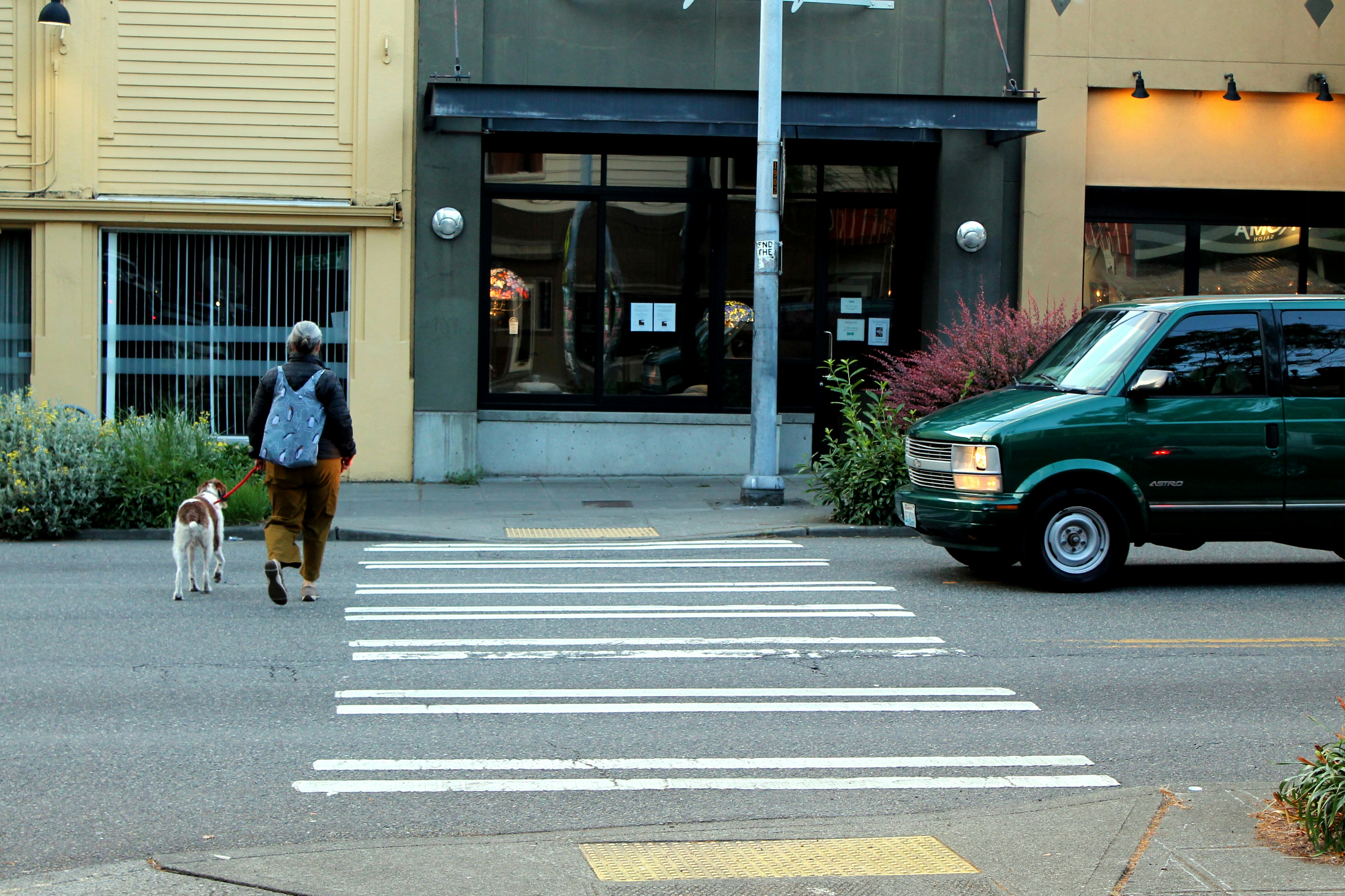 Una persona paseando a un perro a través de un cruce de peatones