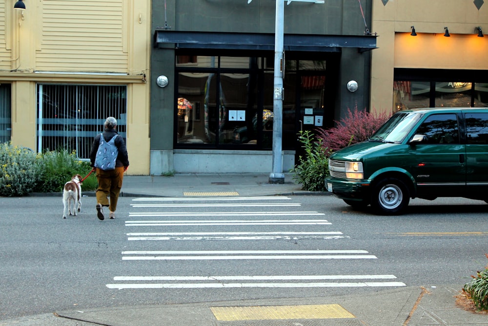 a person walking a dog across a crosswalk