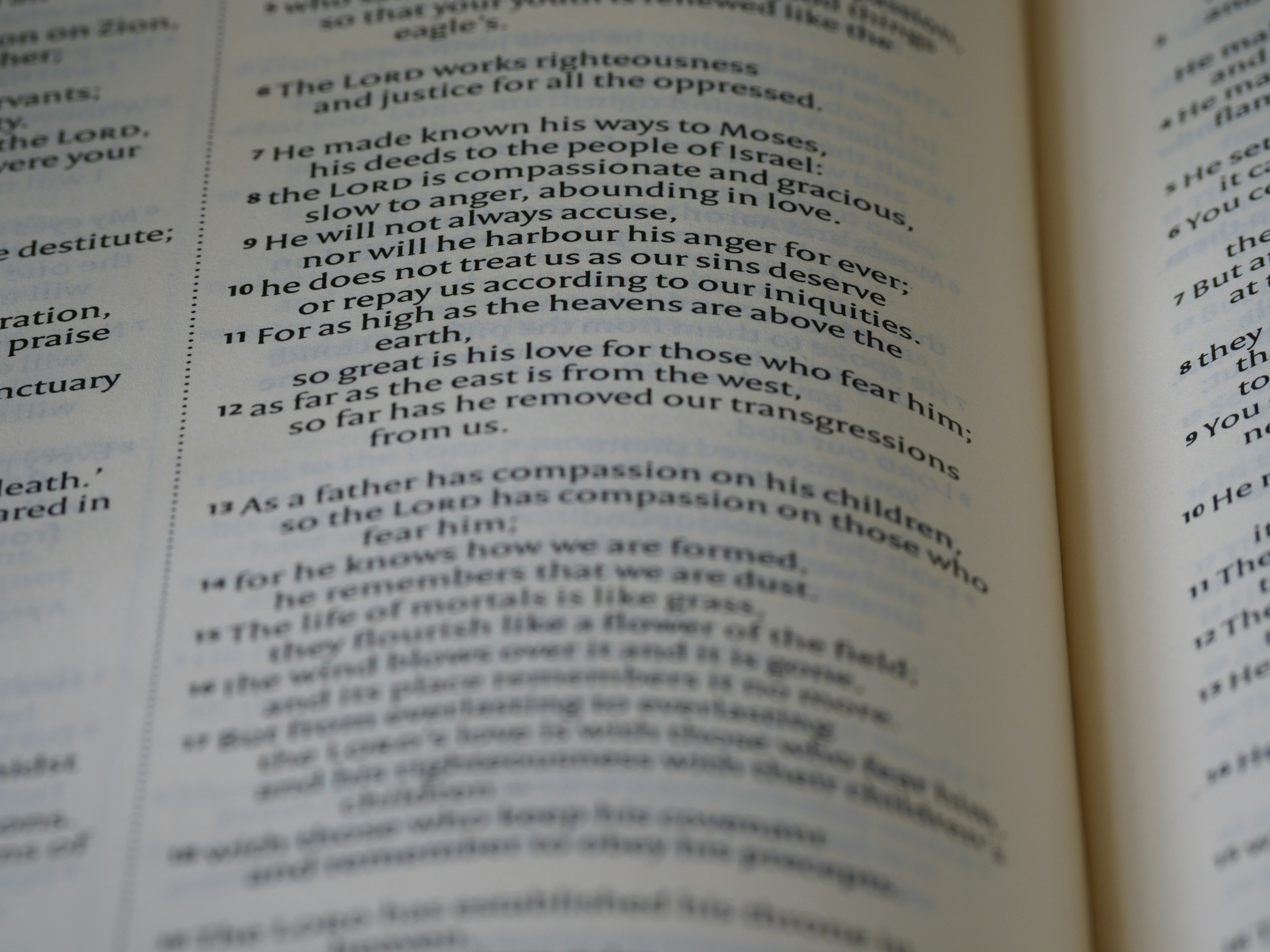 Photo by brett_jordan