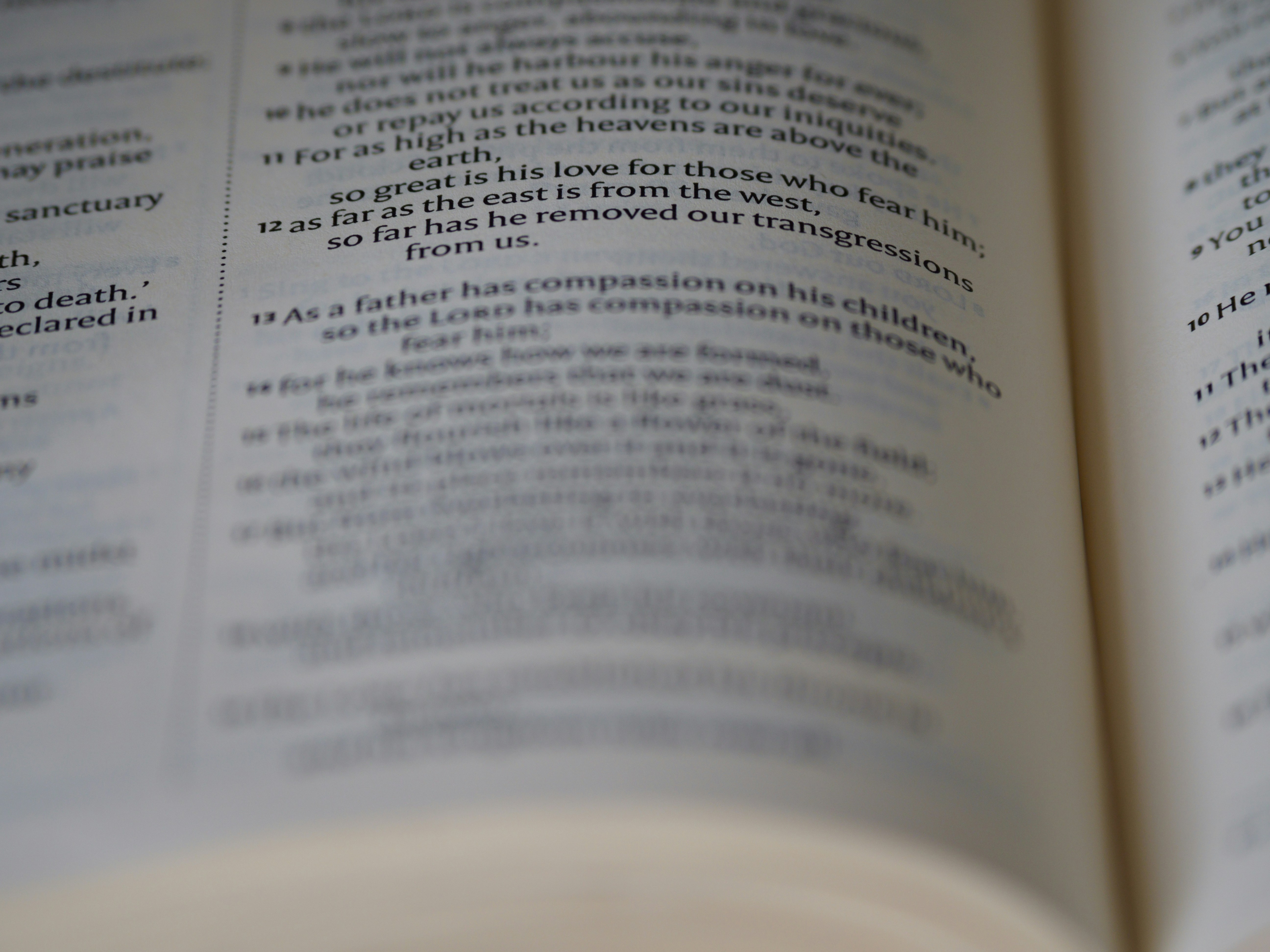 Photo by brett_jordan