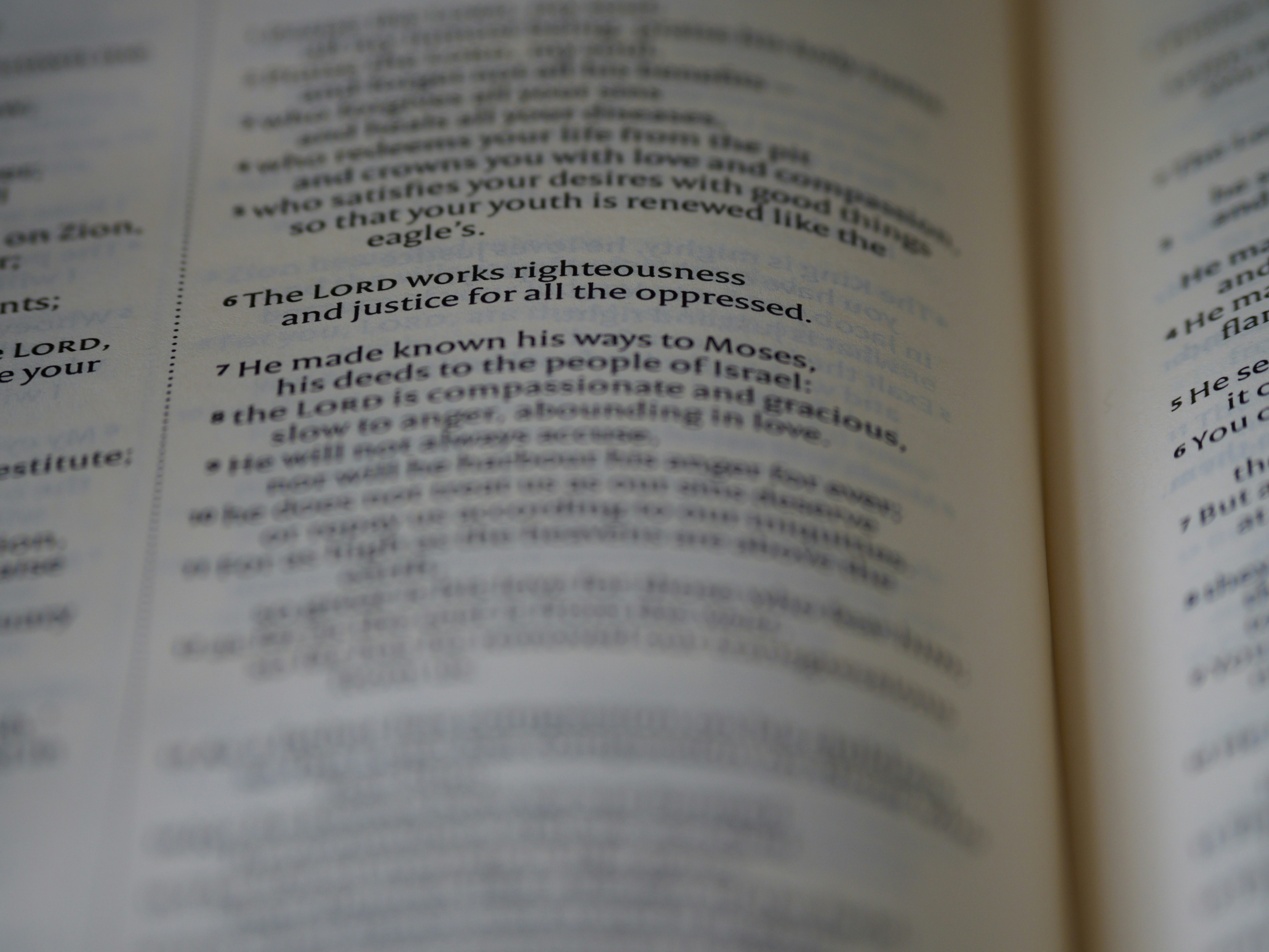 Photo by brett_jordan