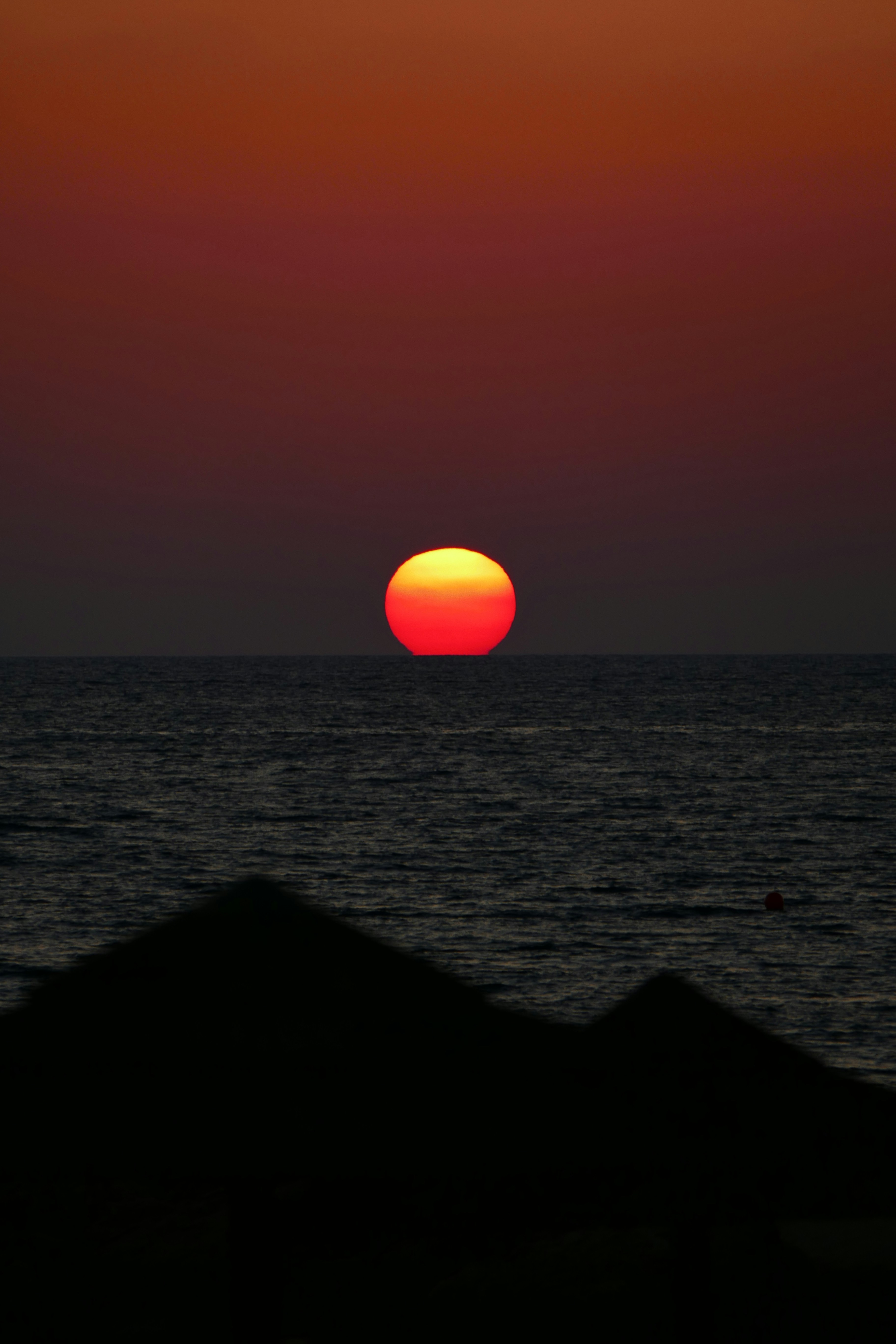 Photo by mw41