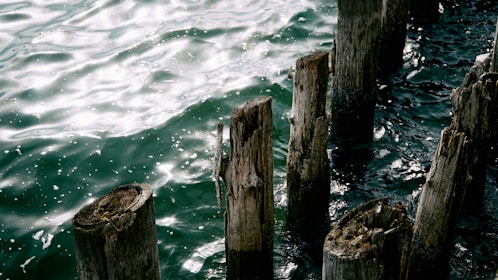a group of wooden posts in water