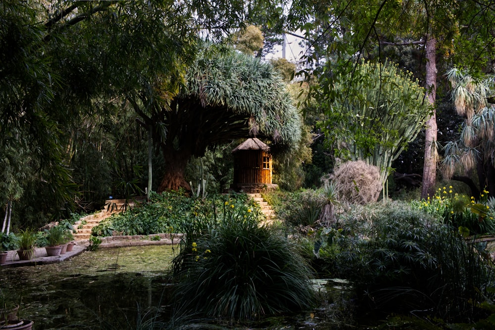 a small pond in a garden