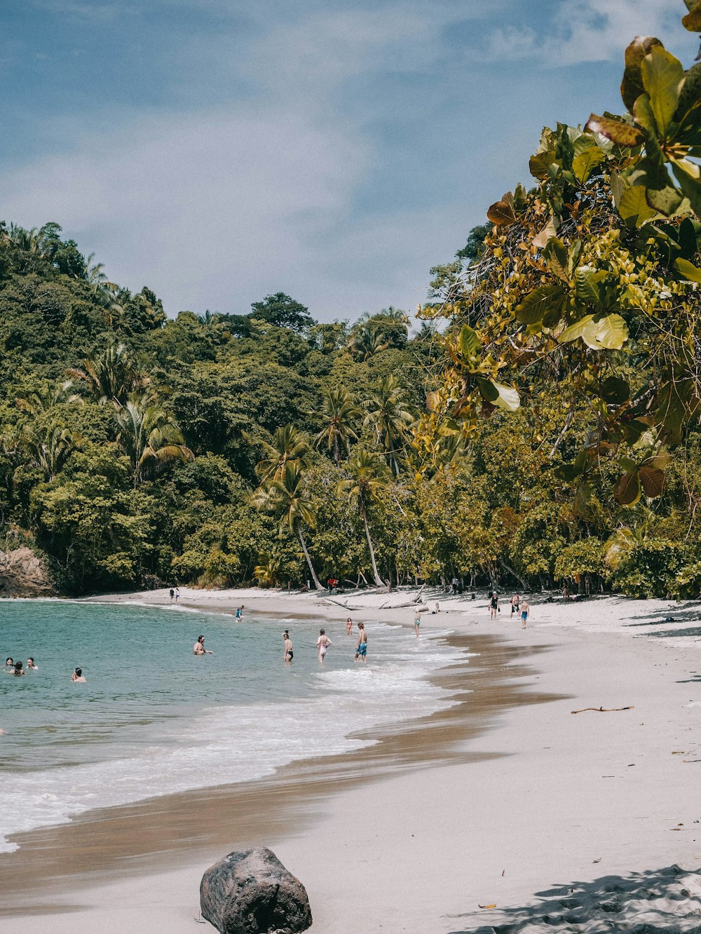 Un grupo de personas en una playa