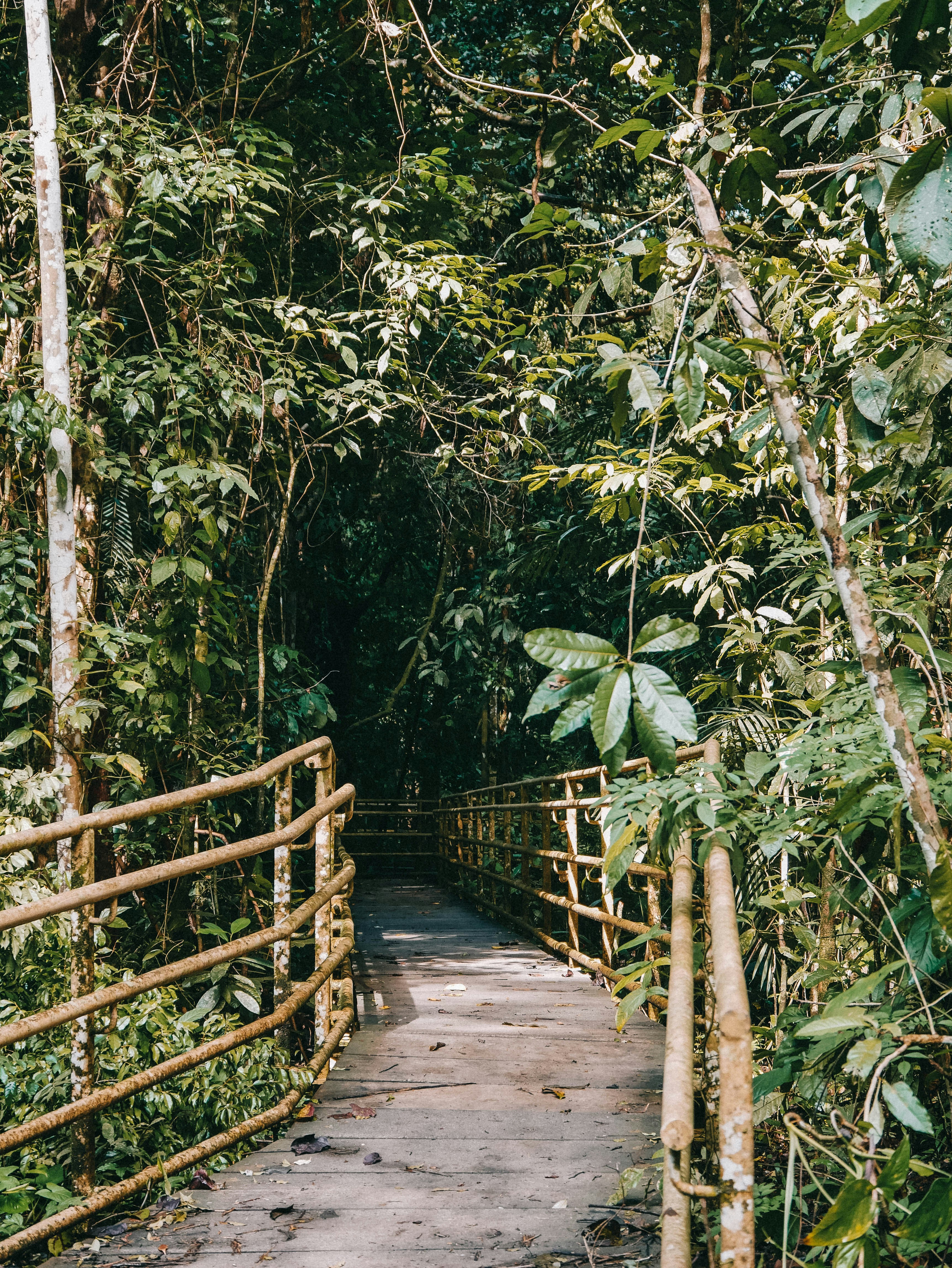 puntarenas province