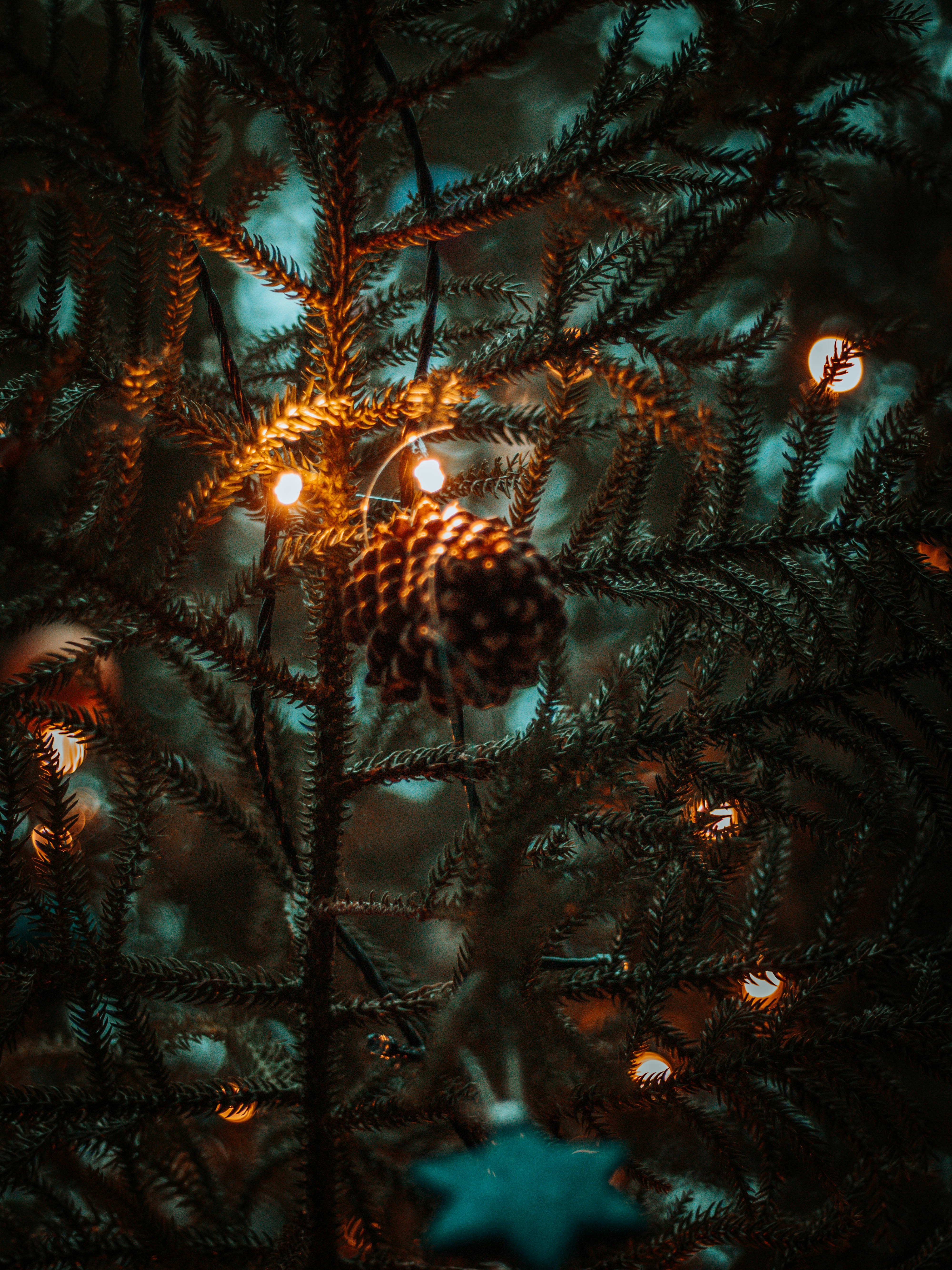 Photo by properqualityshandis