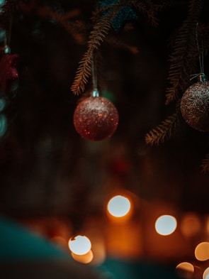 Close-up of festive ornaments and twinkling lights on a Christmas tree branch.