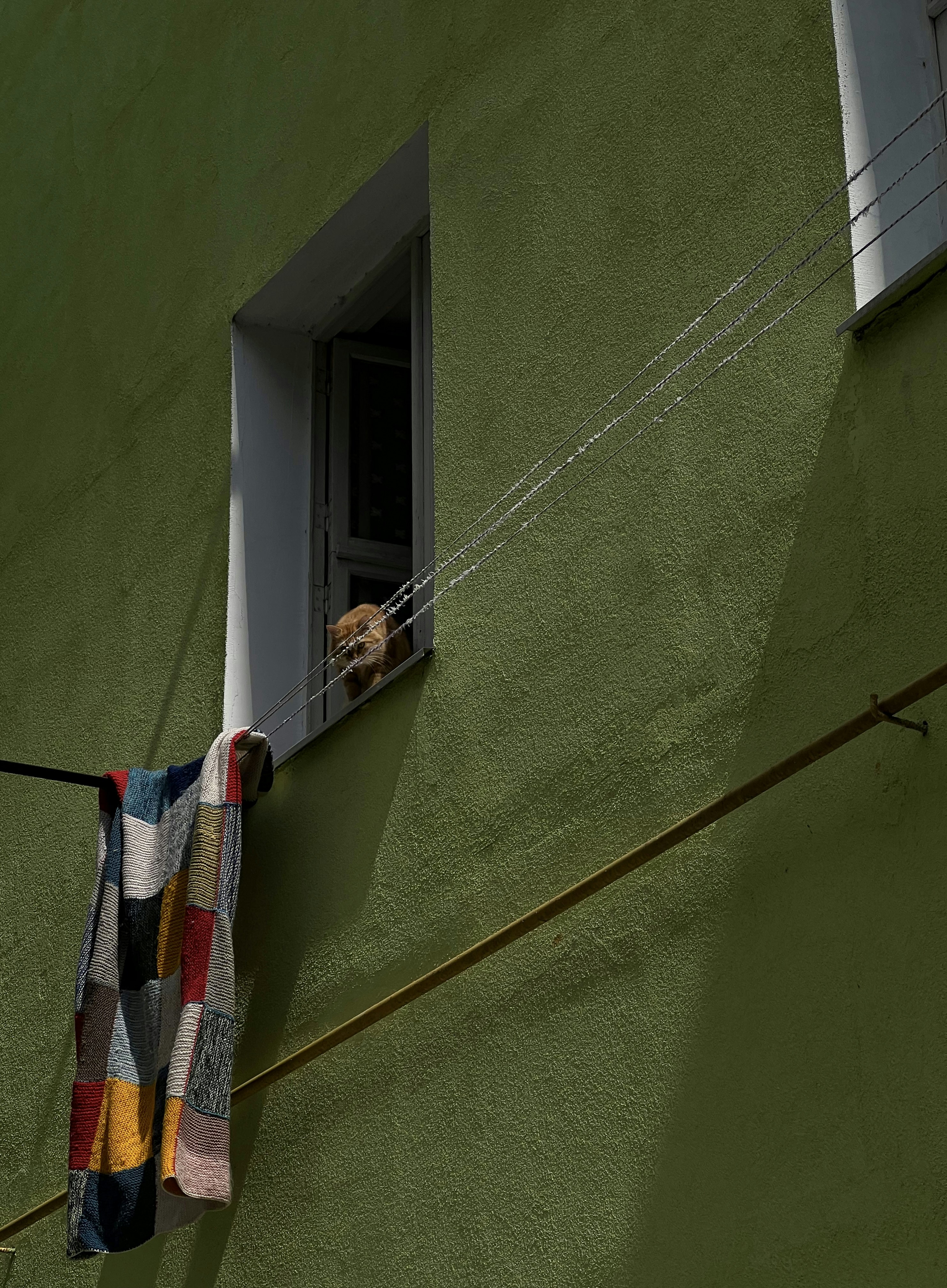 Photo by ksusha_kazak