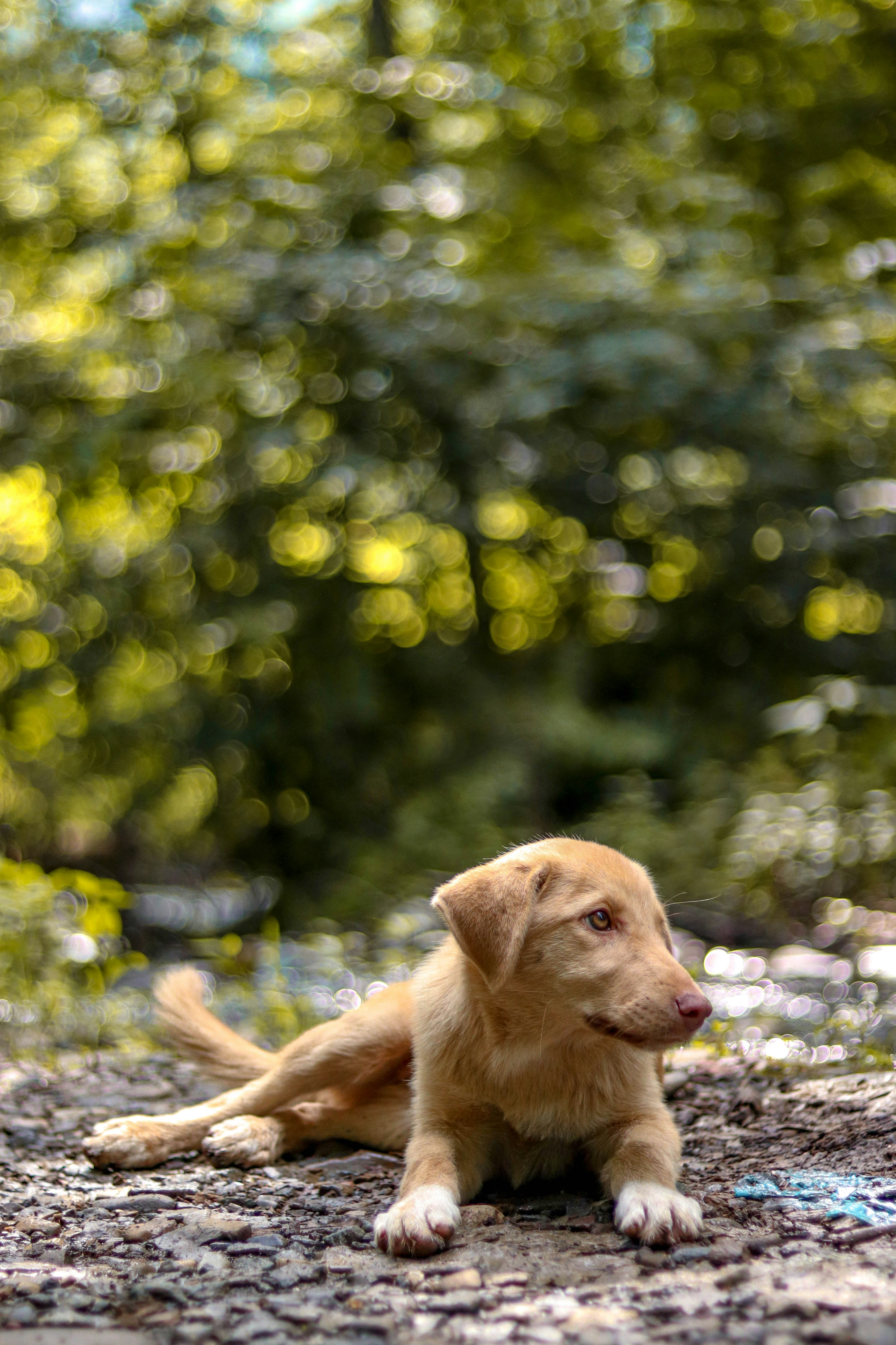 Photo by mahyar_mirghasmi