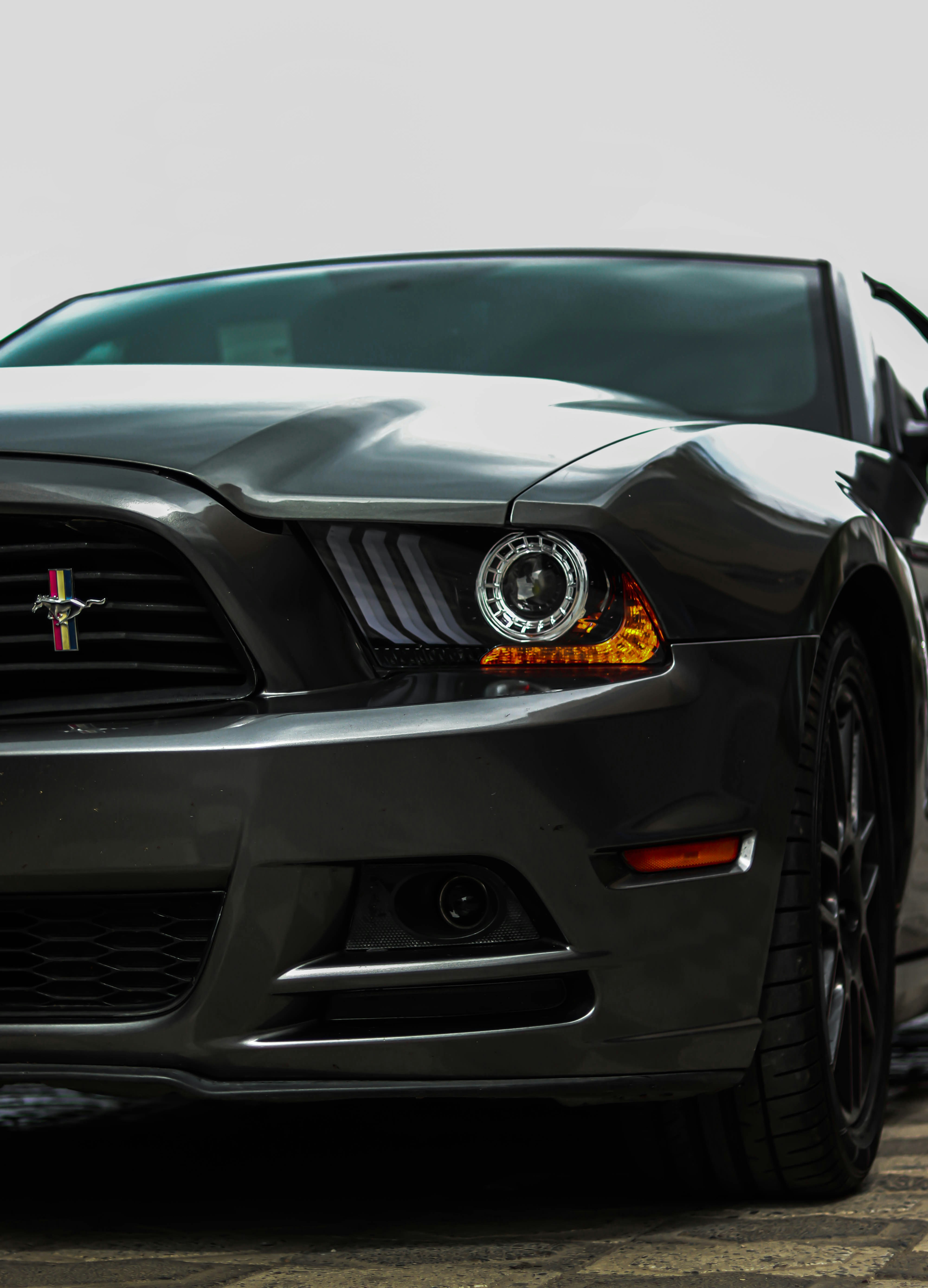 Photo by mahyar_mirghasmi