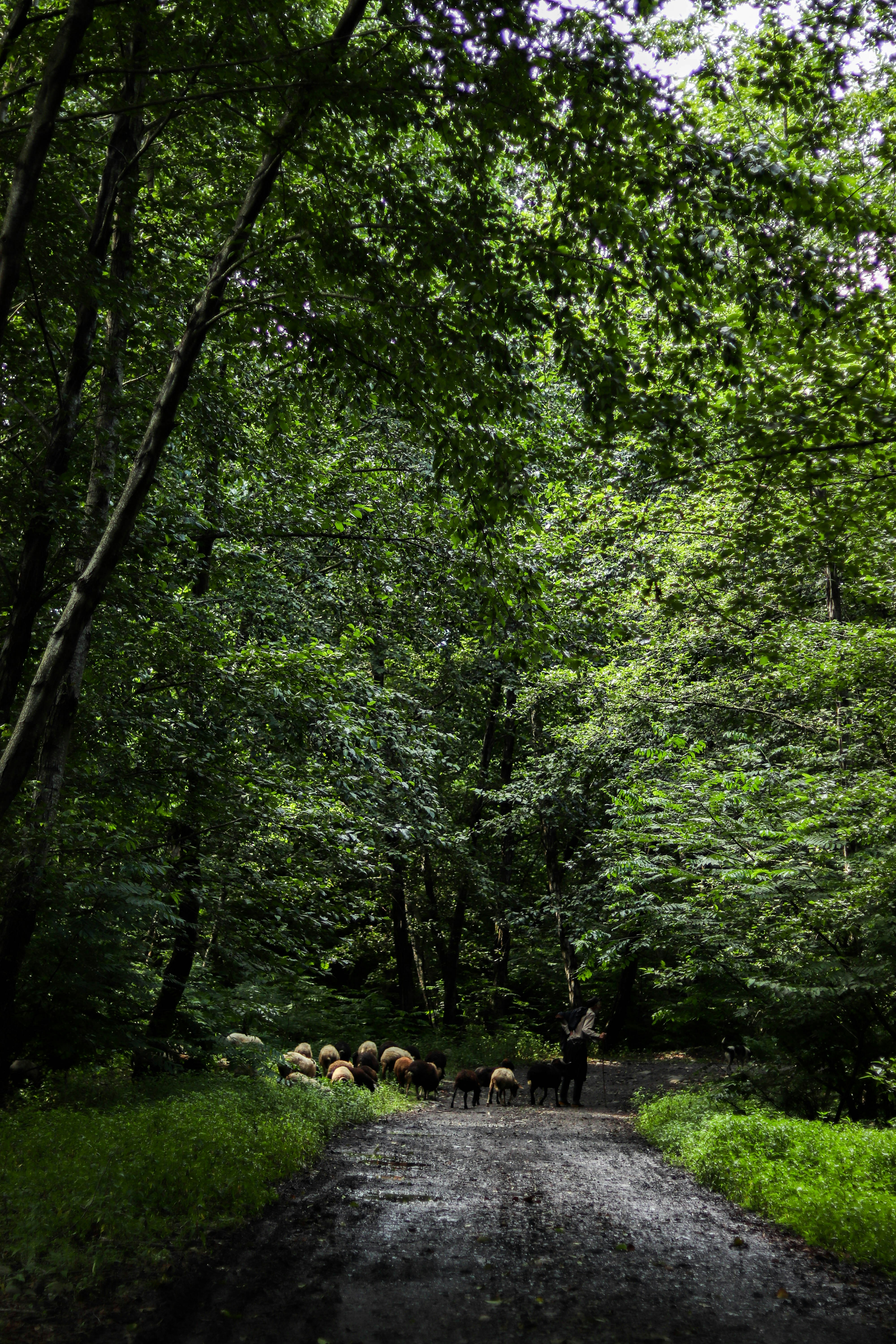 Photo by mahyar_mirghasmi