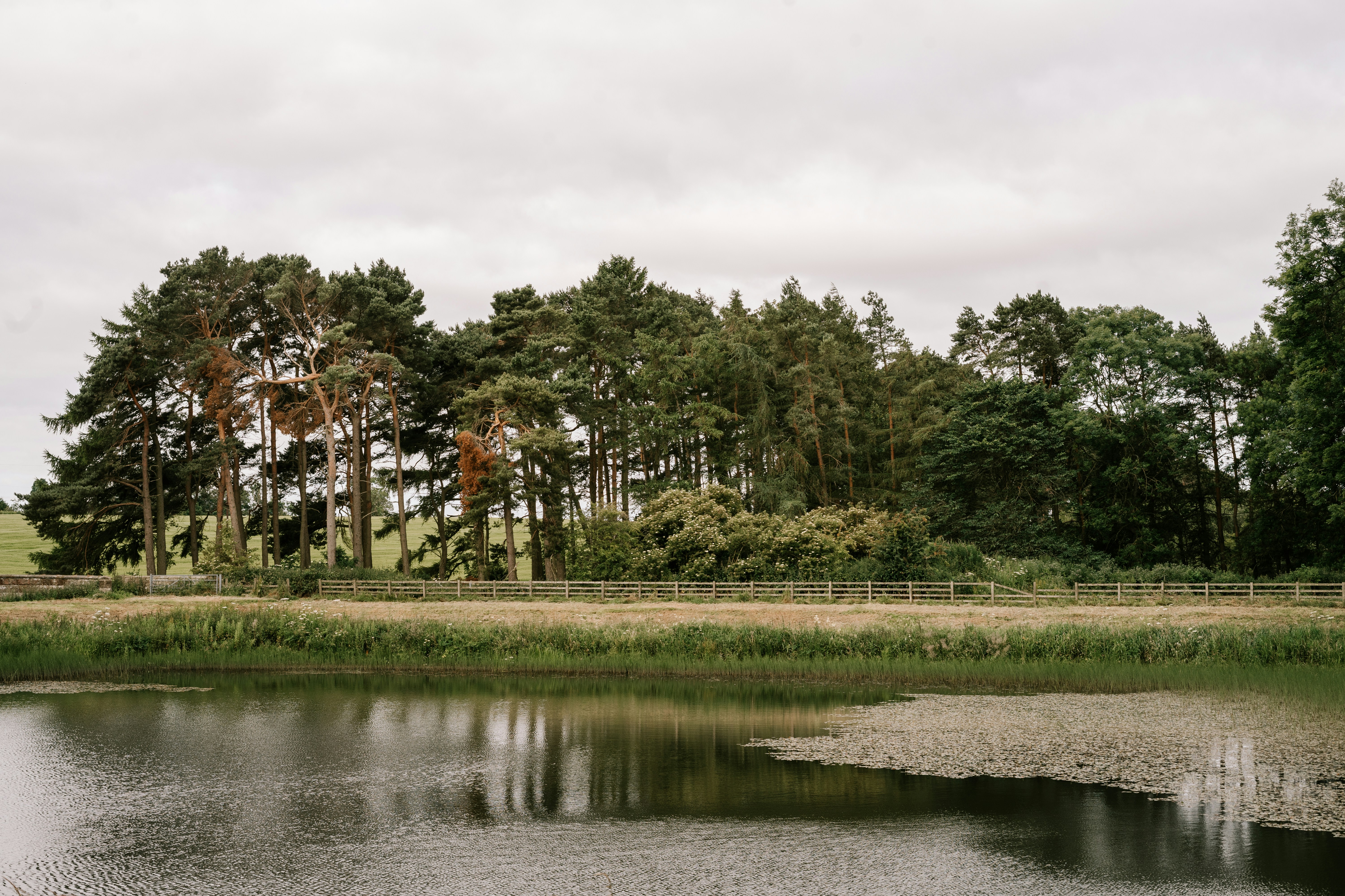 Image by Toa Heftiba via Unsplash