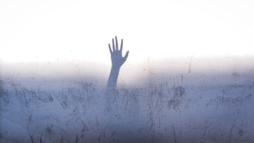 a person's hand in a field of grass