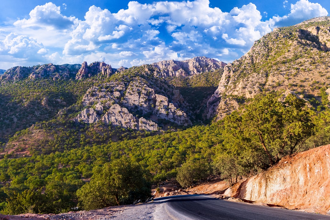 a road going through a mountainous region, love means ......