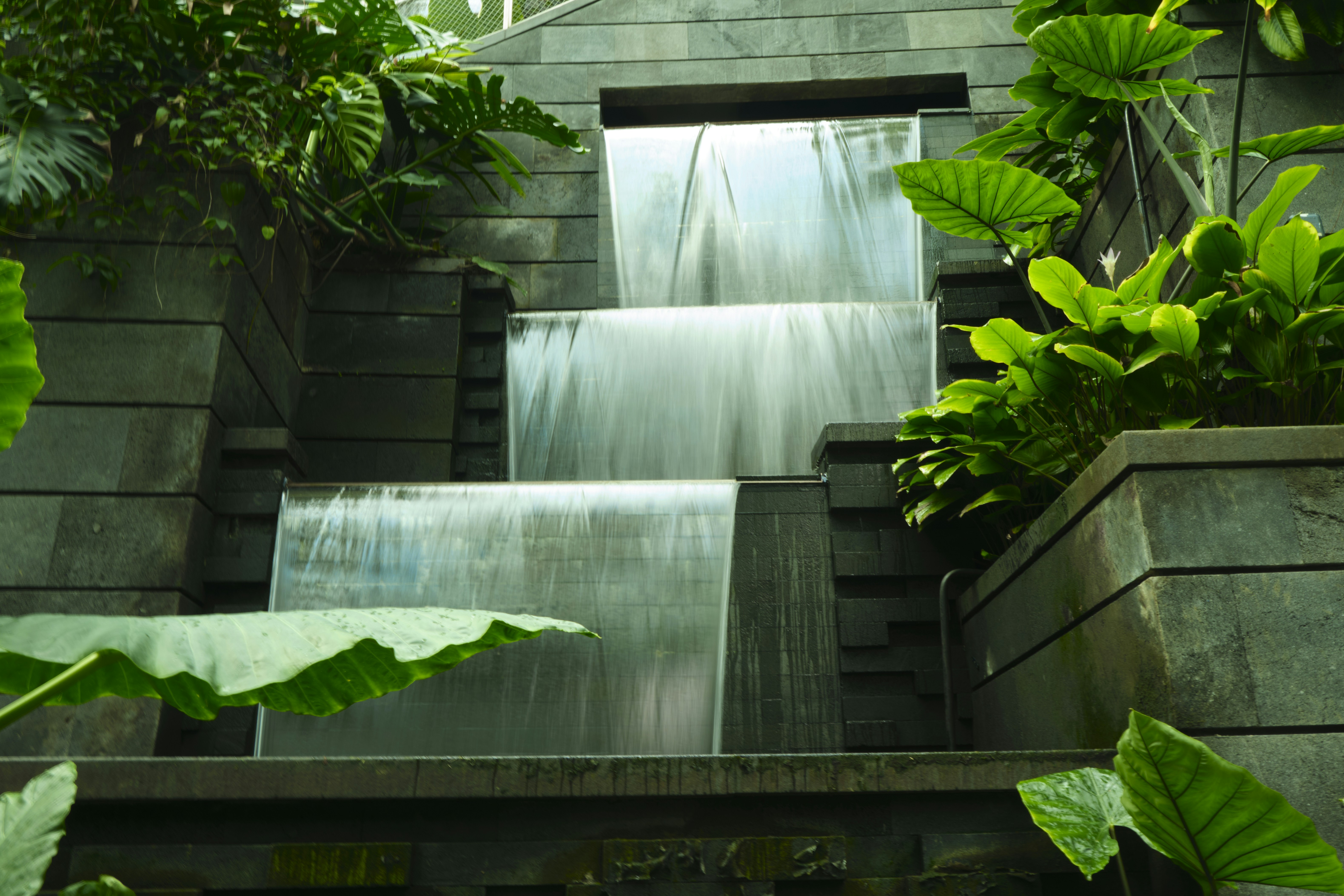 a waterfall in a glass enclosure