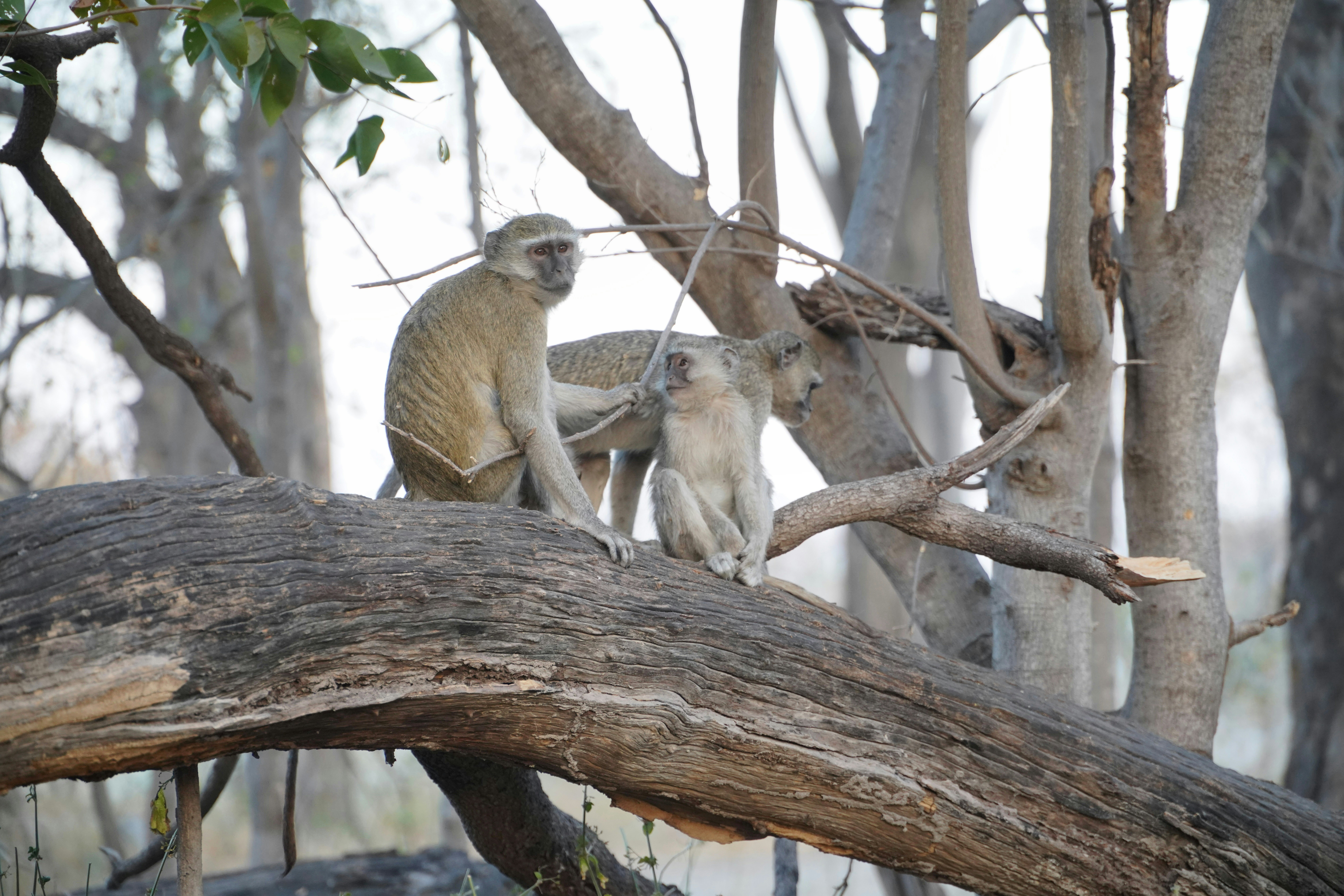 Photo by datingjungle