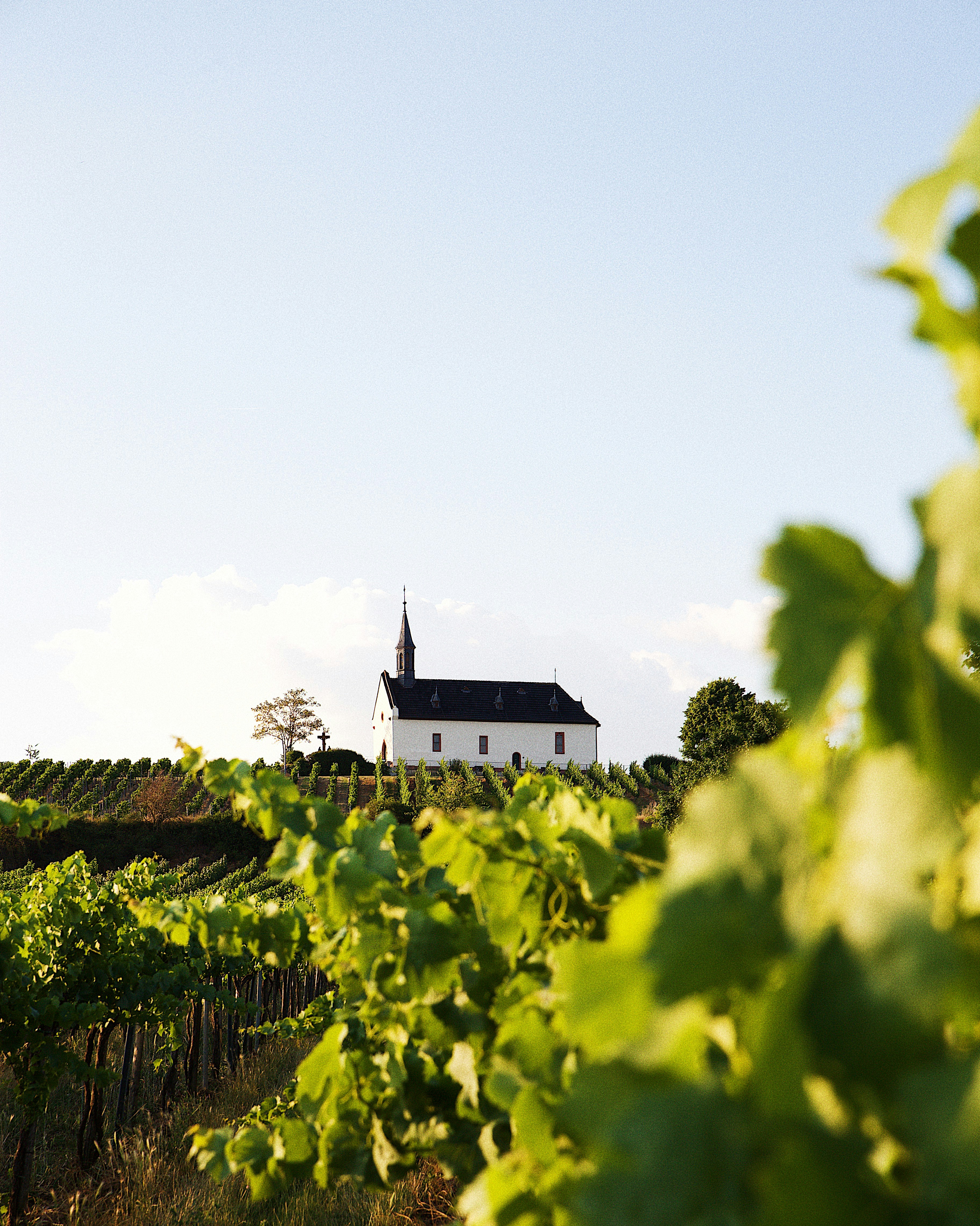 Photo by swagstreetboi