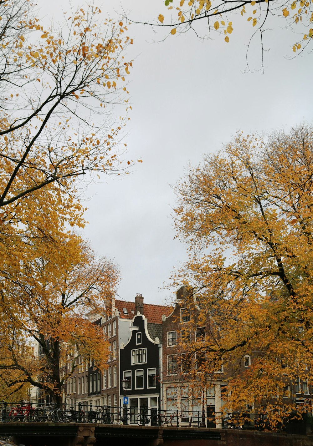 a row of buildings with trees in front of them