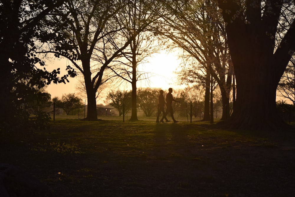 a couple of people walking in a park