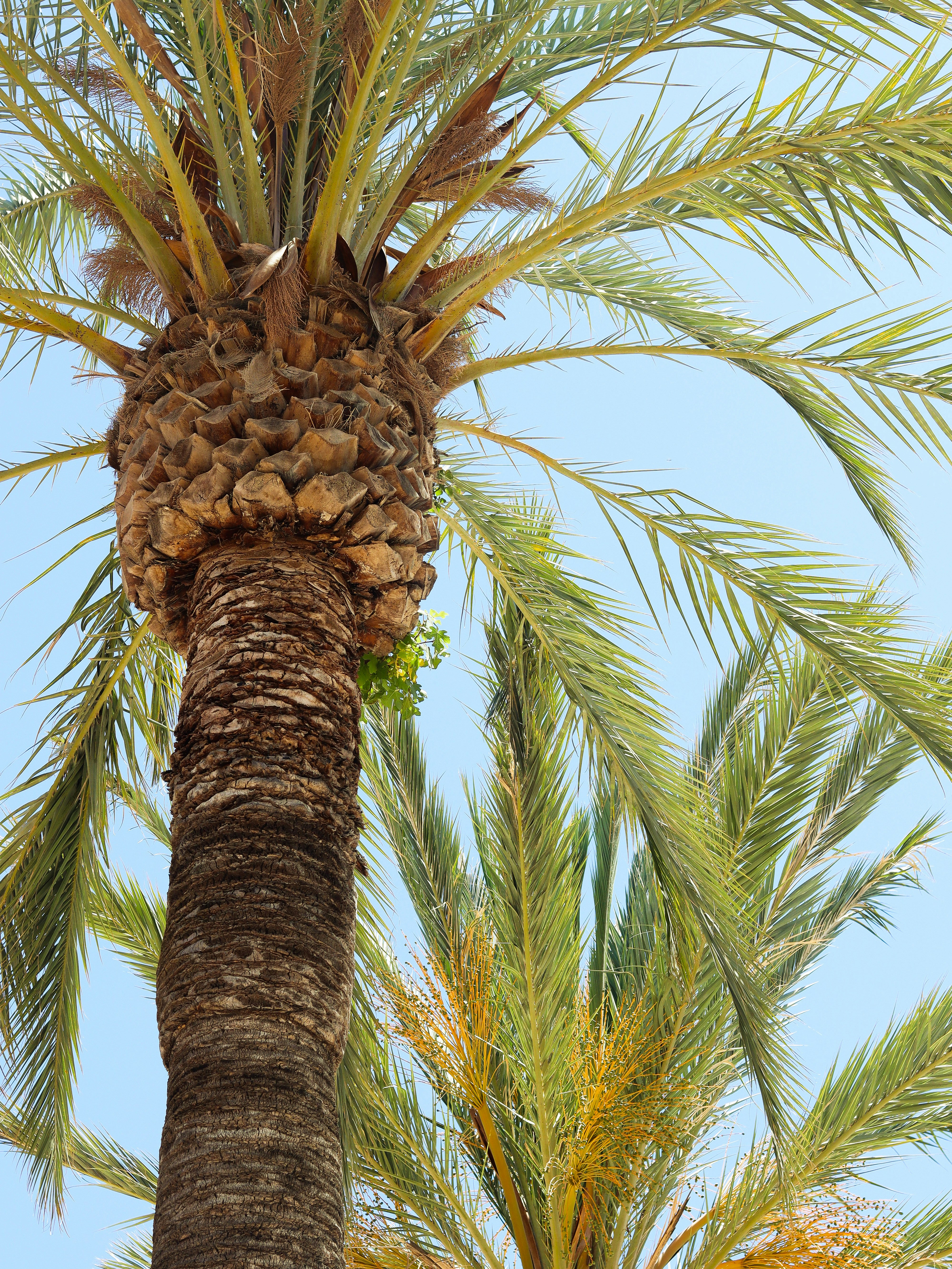 Photo by rach_henning