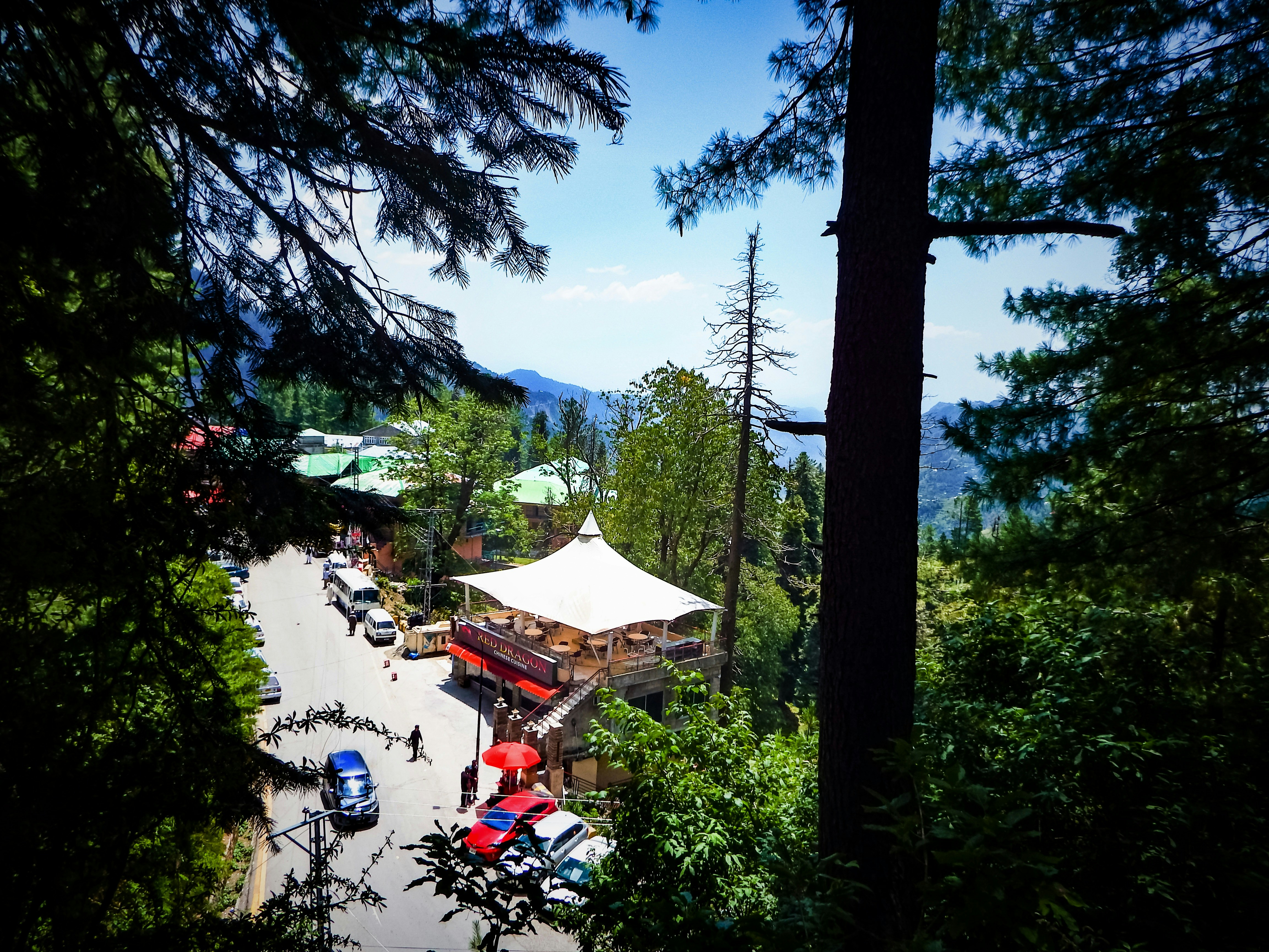 a street with trees and buildings