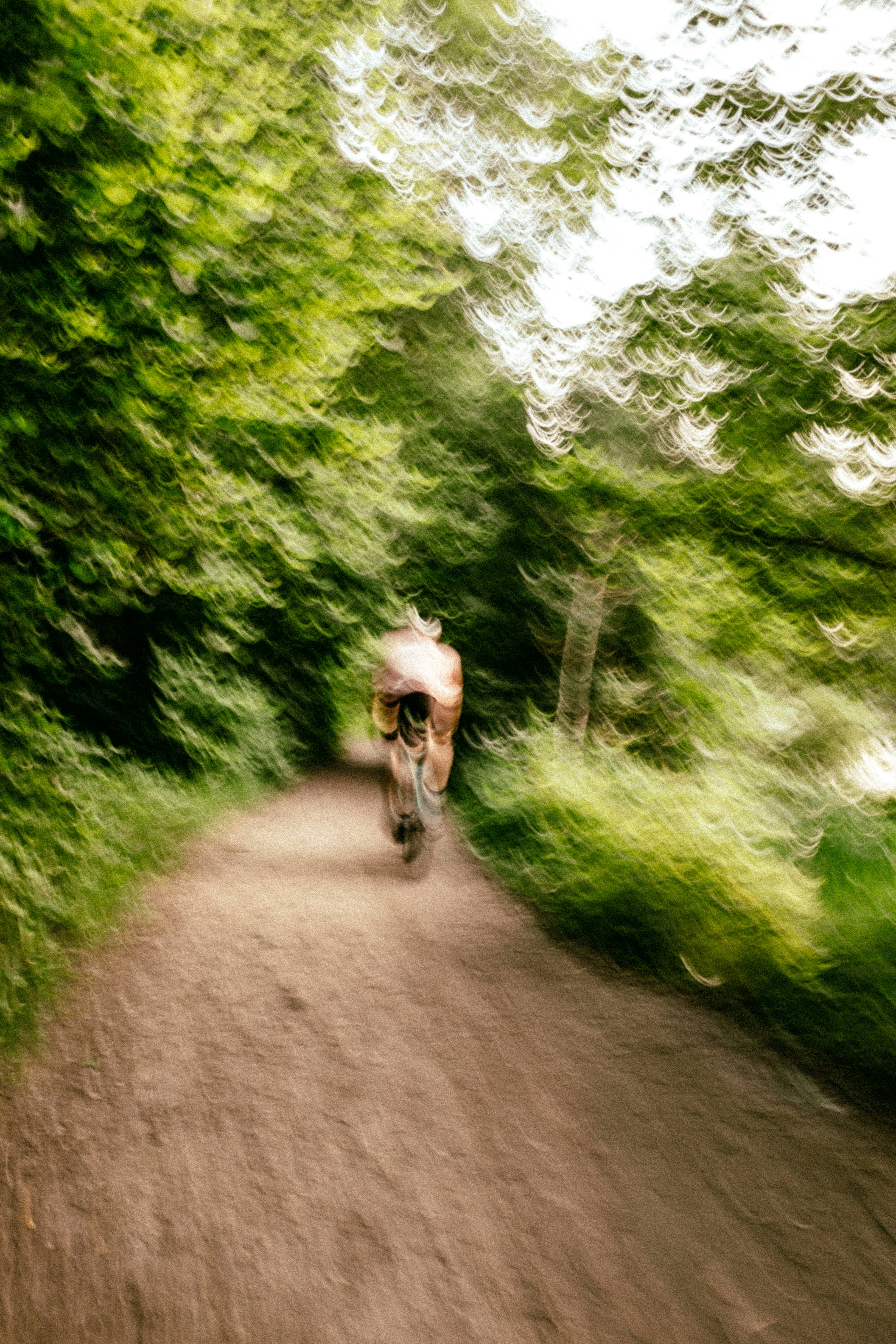 a dog running on a dirt road